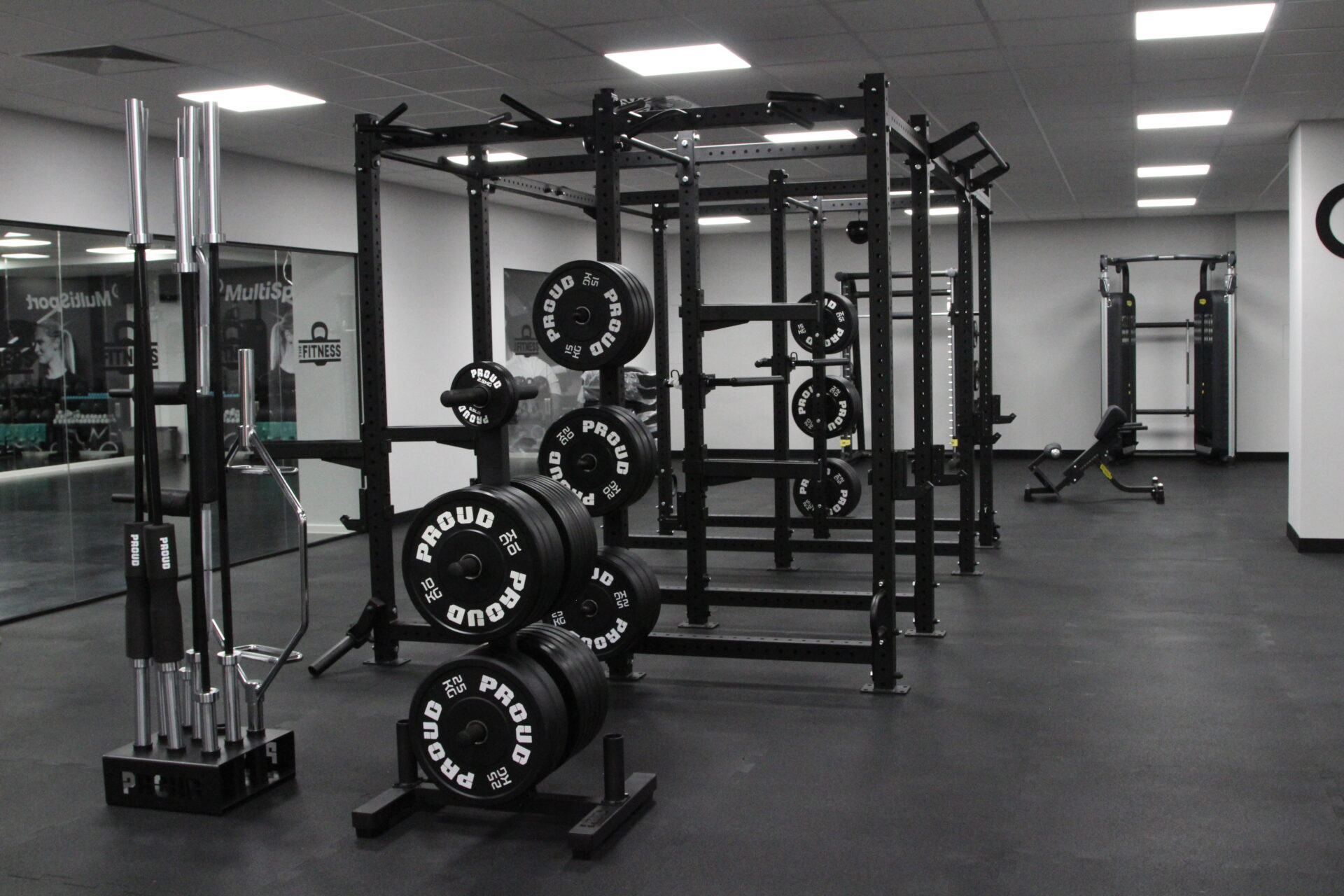 THE Fitness Hotel Novi