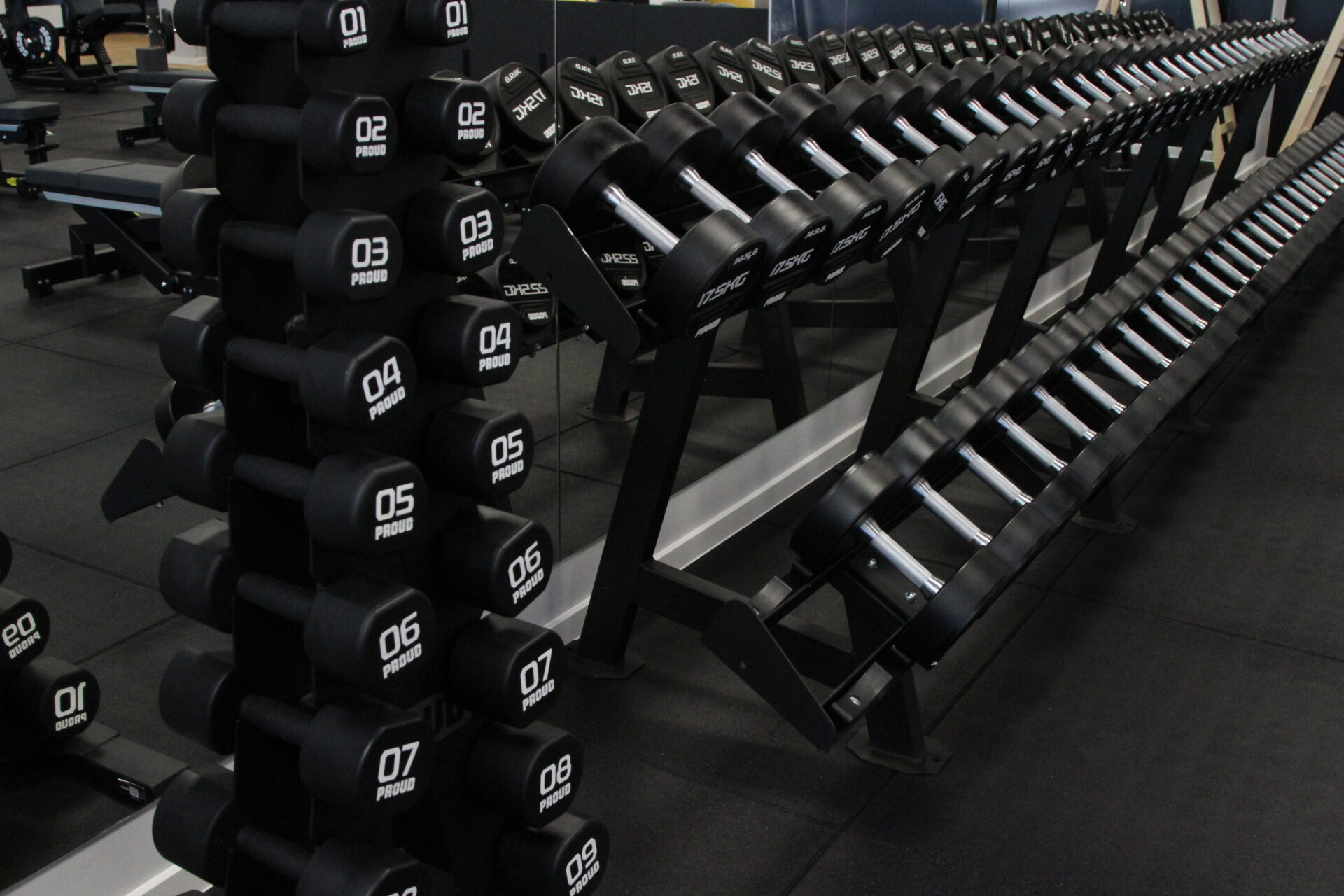 THE Fitness Dugo Selo