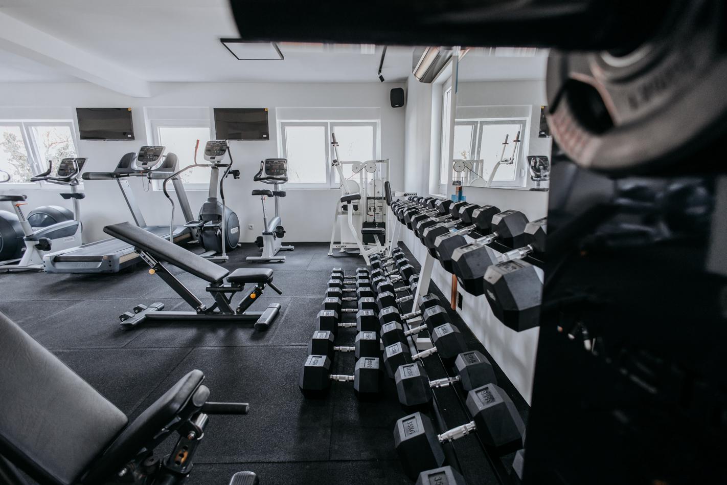 Iron Paradise 2023 Loyalty