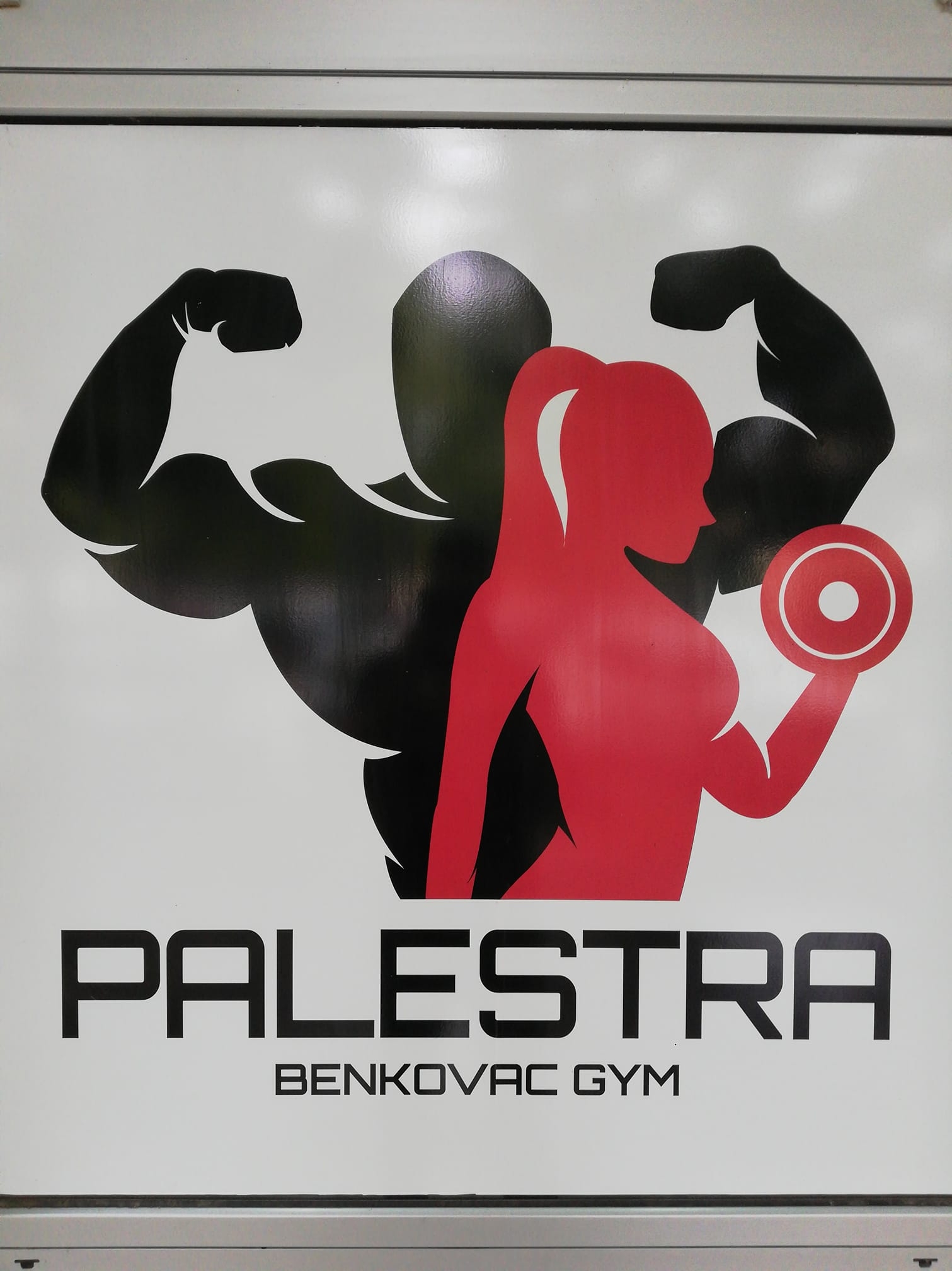 Palestra GYM - Logo