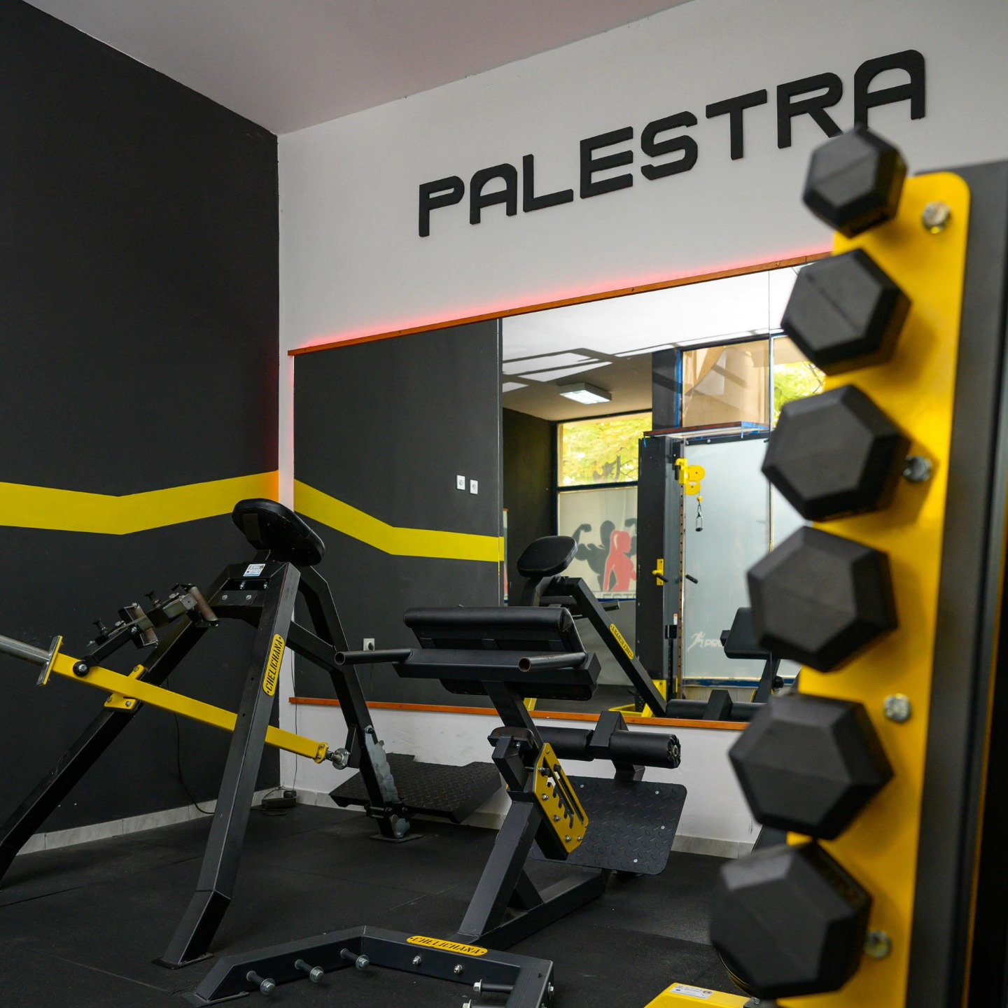 Palestra GYM