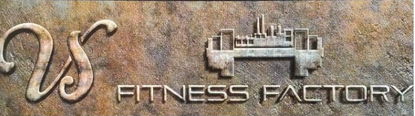 VS Fitness Factory - Logo