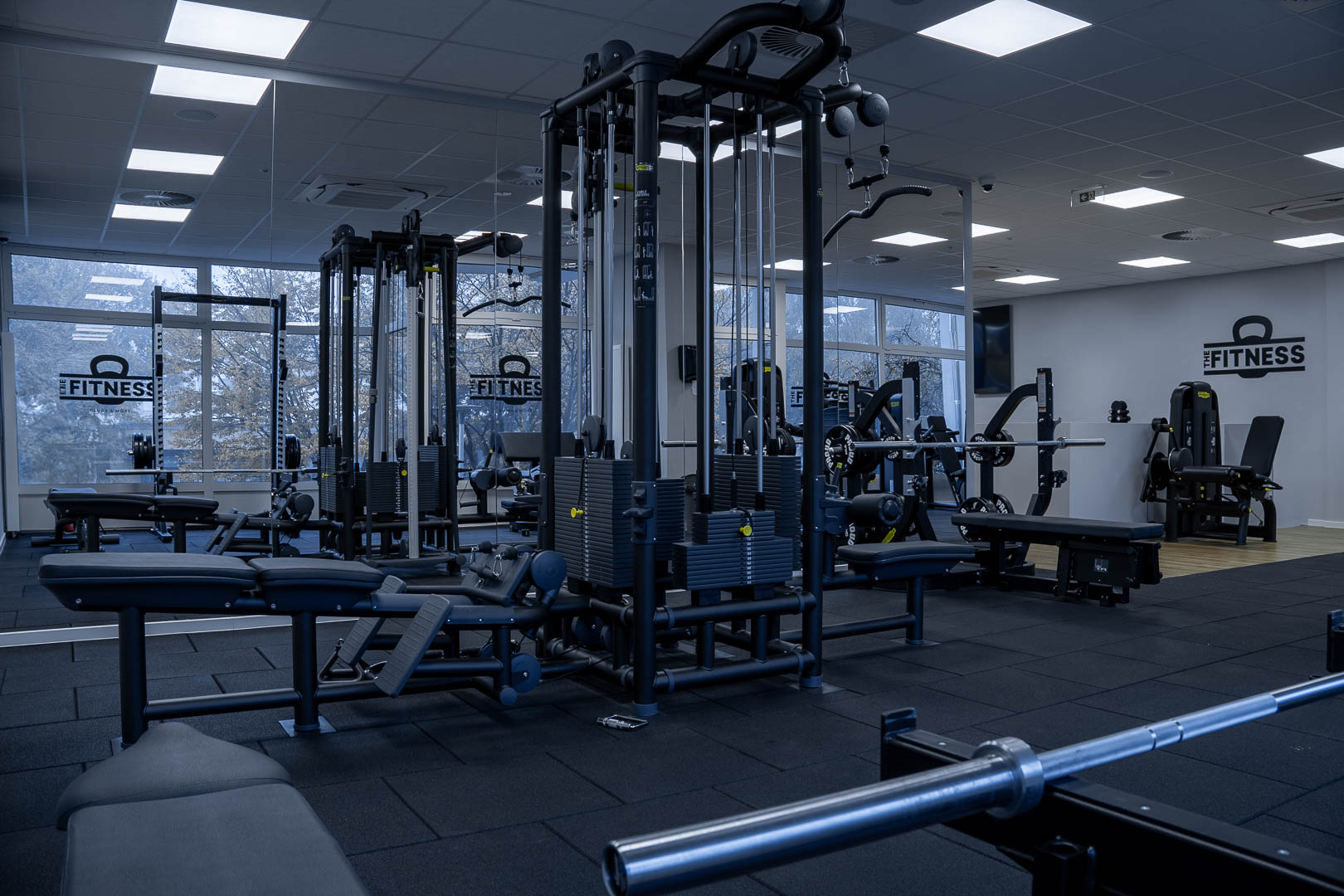 THE Fitness Mamutica