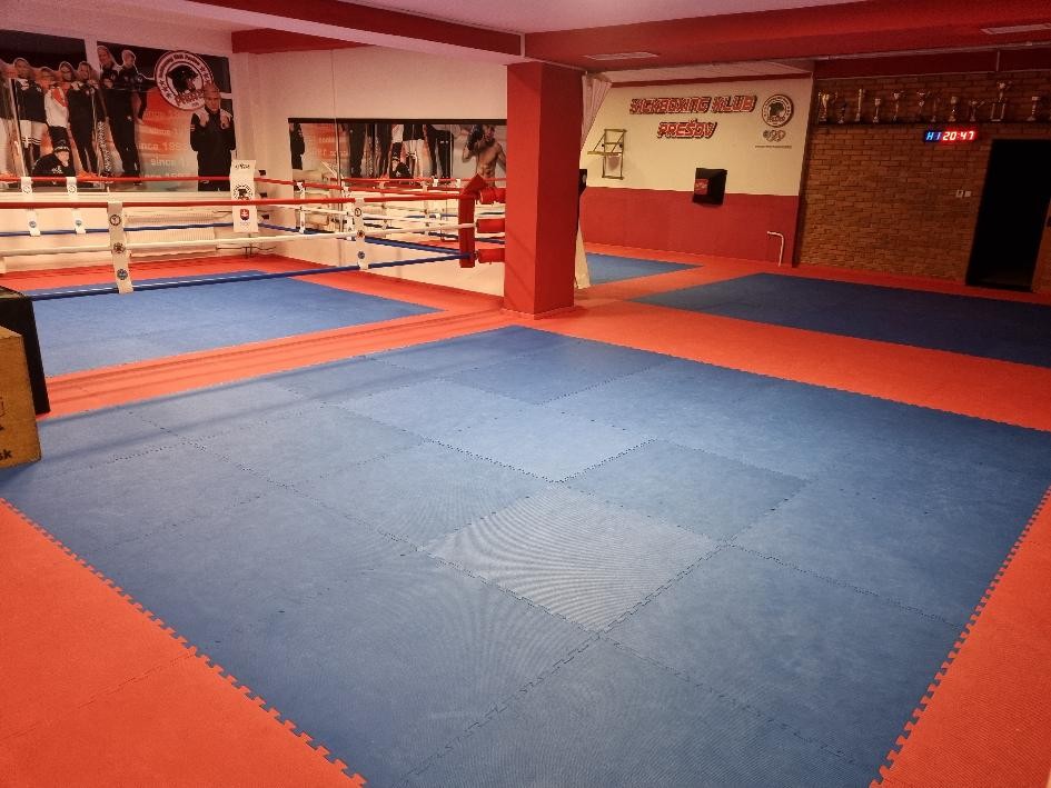 Kickboxing Club PANTER - Fitness budo centrum