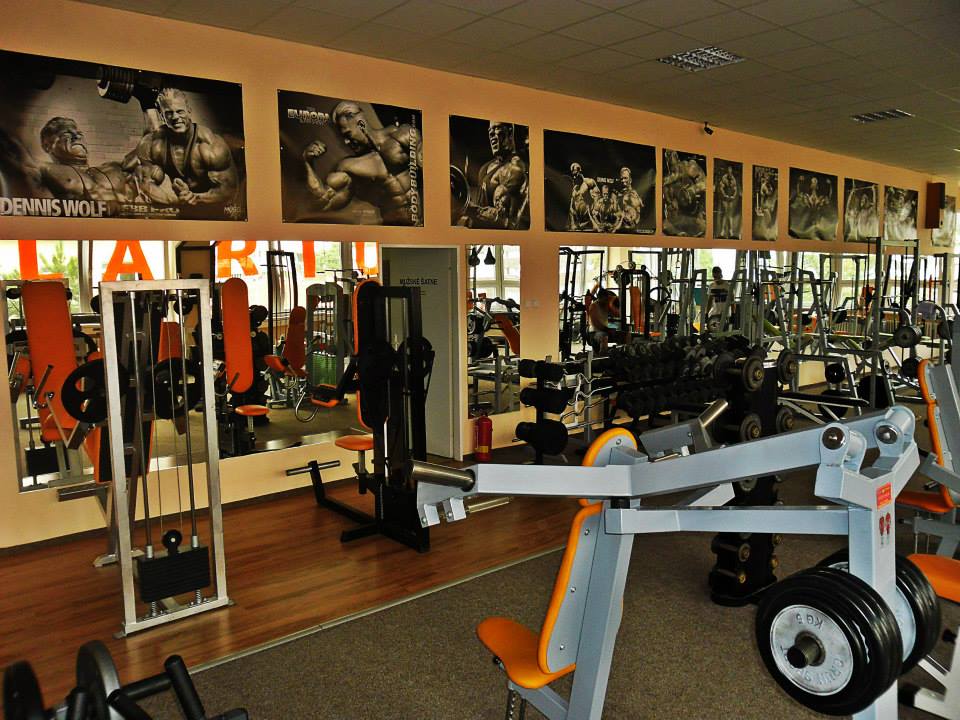 Wolf Gym