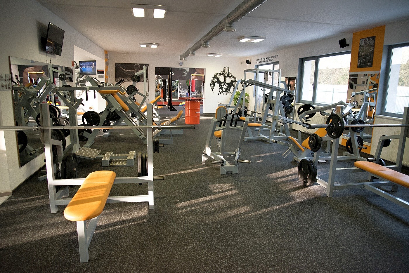 ARON HOUSE GYM