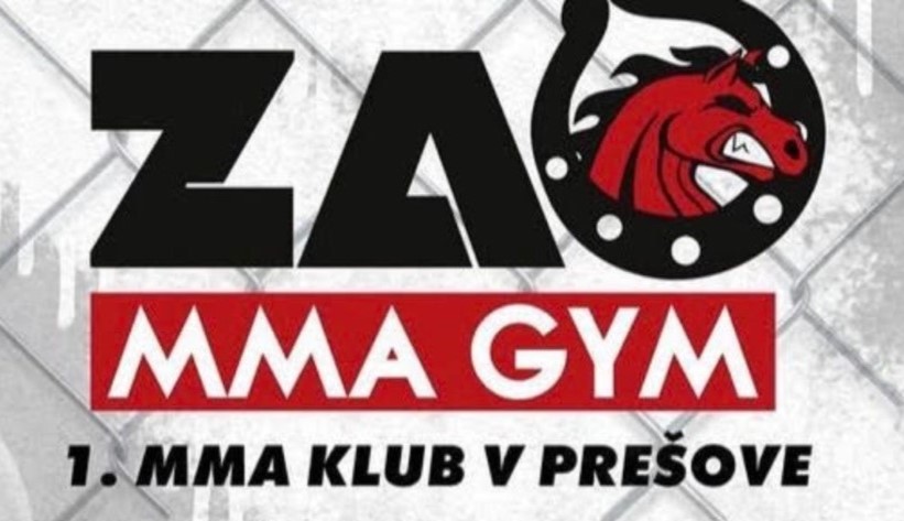 Zao MMA Gym