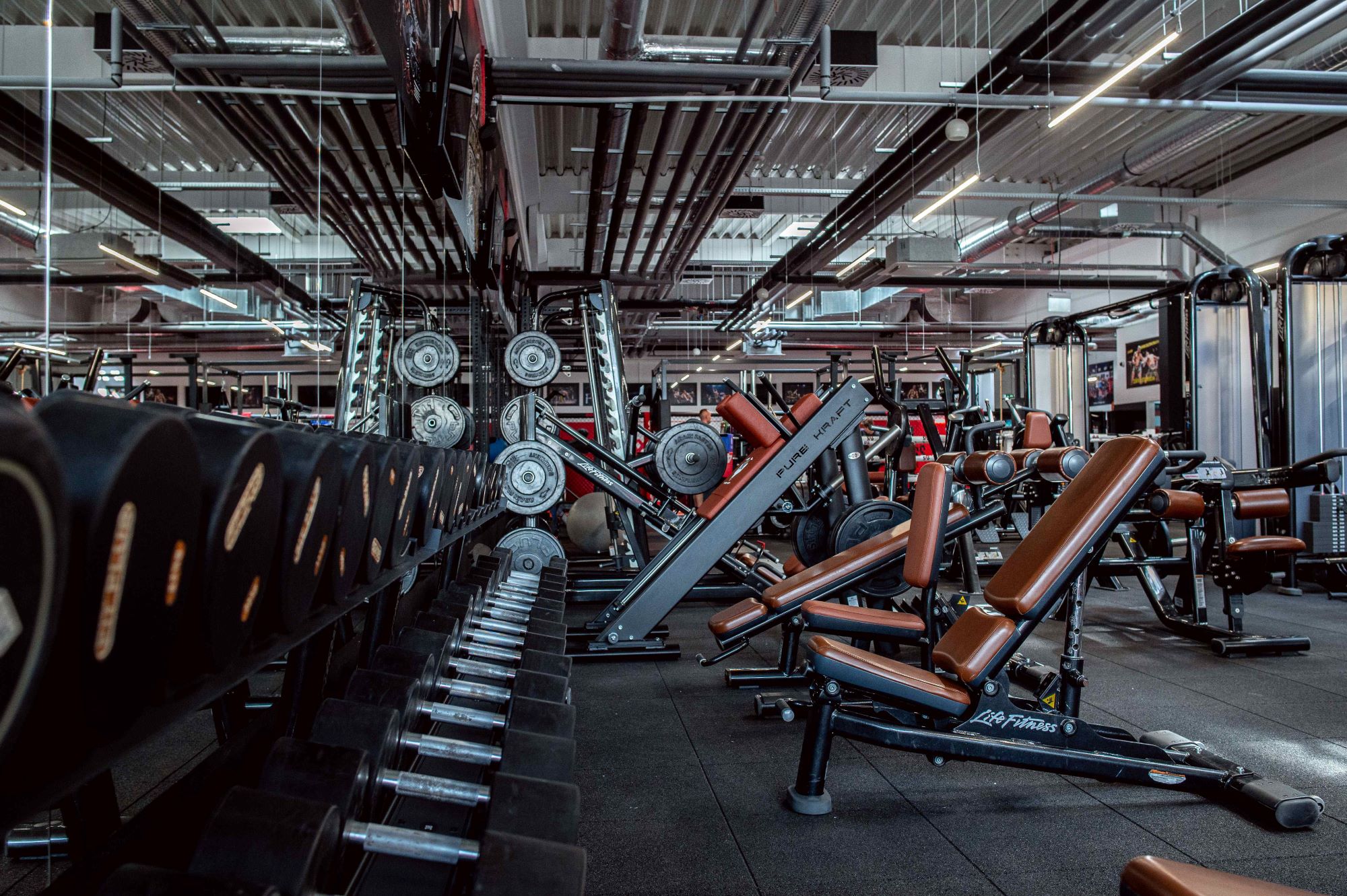 Spartakus Fight Gym