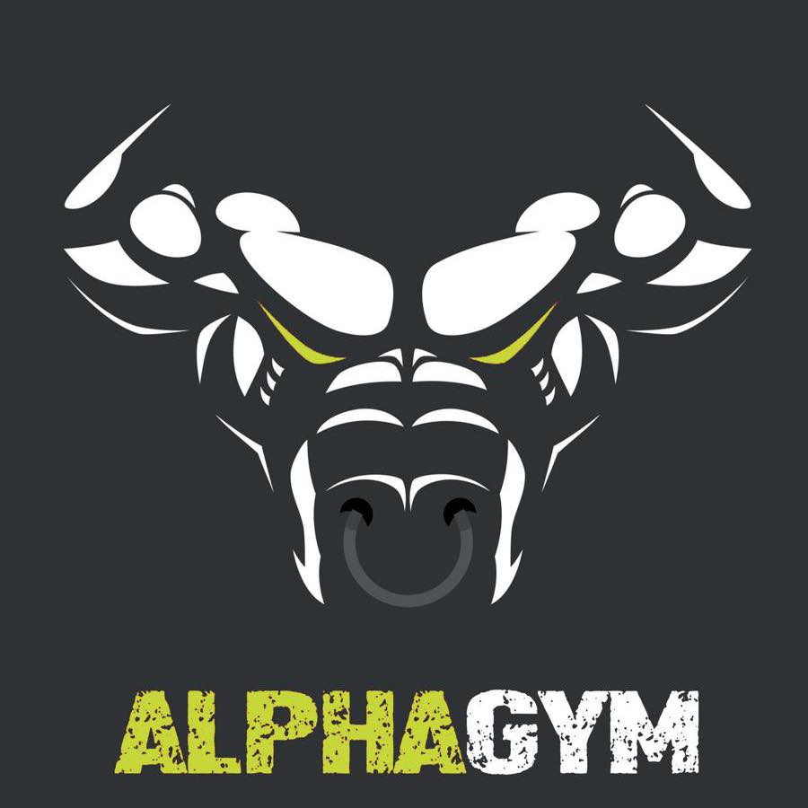 ALPHA HAMMER GYM