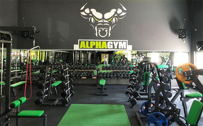 ALPHA HAMMER GYM