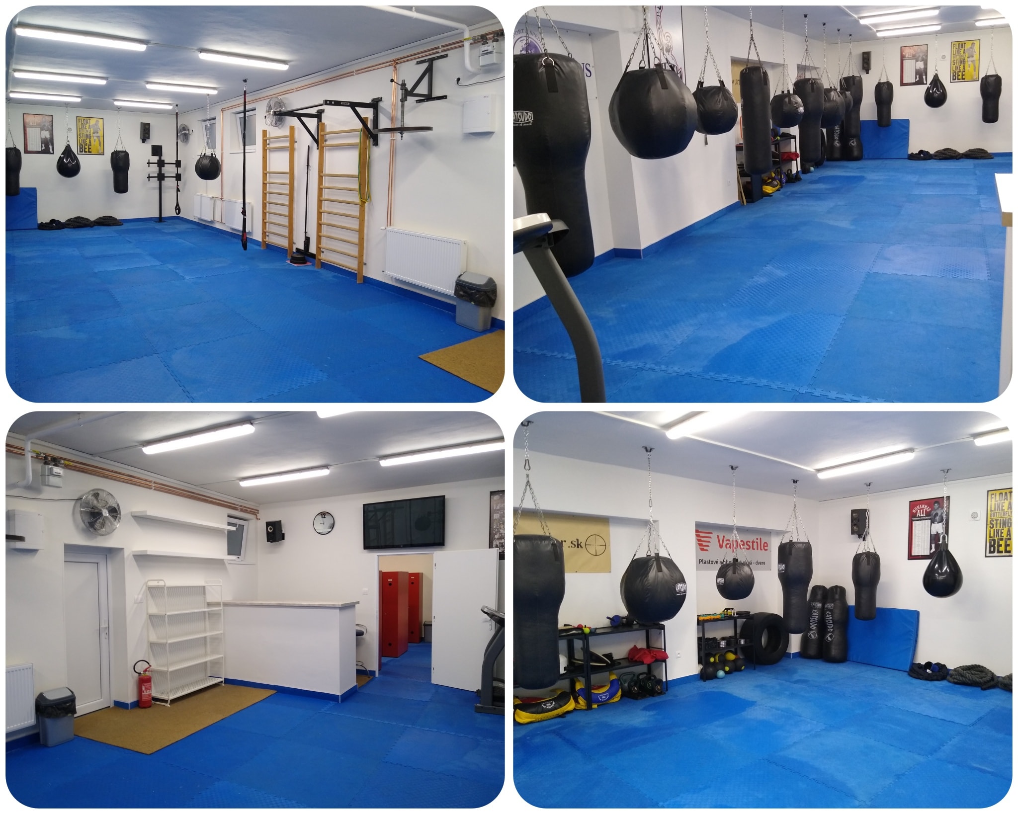 Alpha Boxing Club Malacky