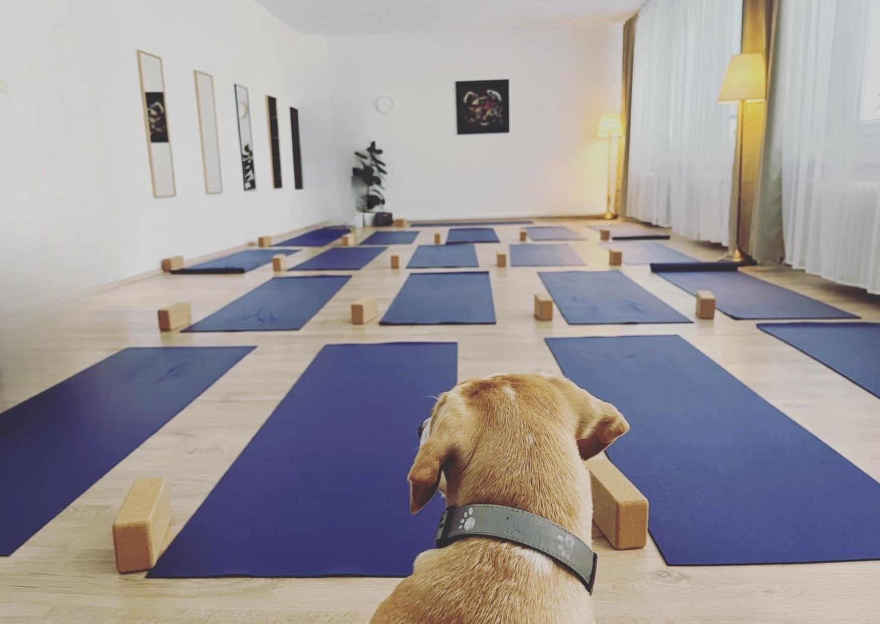 Brighter Life Center