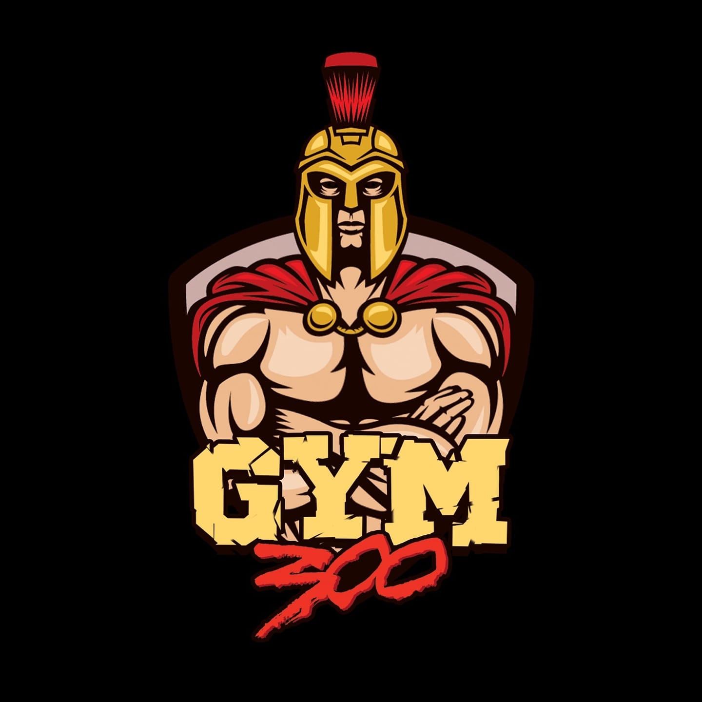 300 GYM
