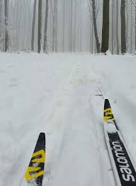 Areál bežeckého lyžovania - Pezinská Baba
