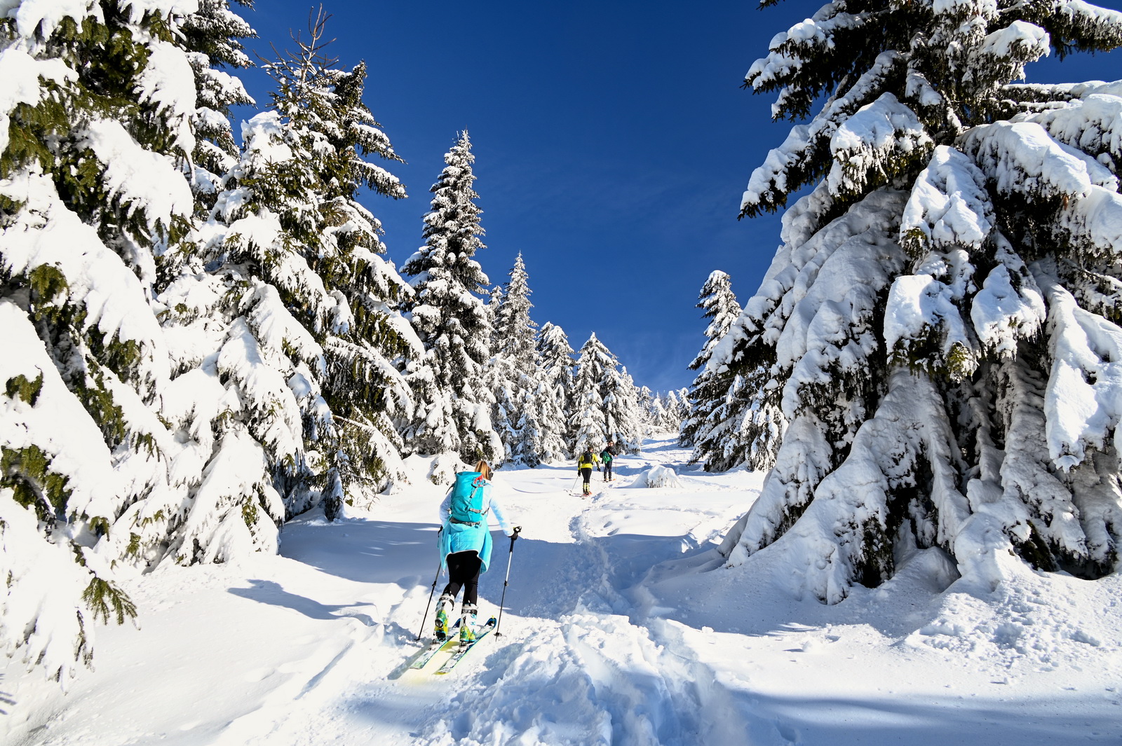 Areál bežeckého lyžovania - Park Snow Donovaly