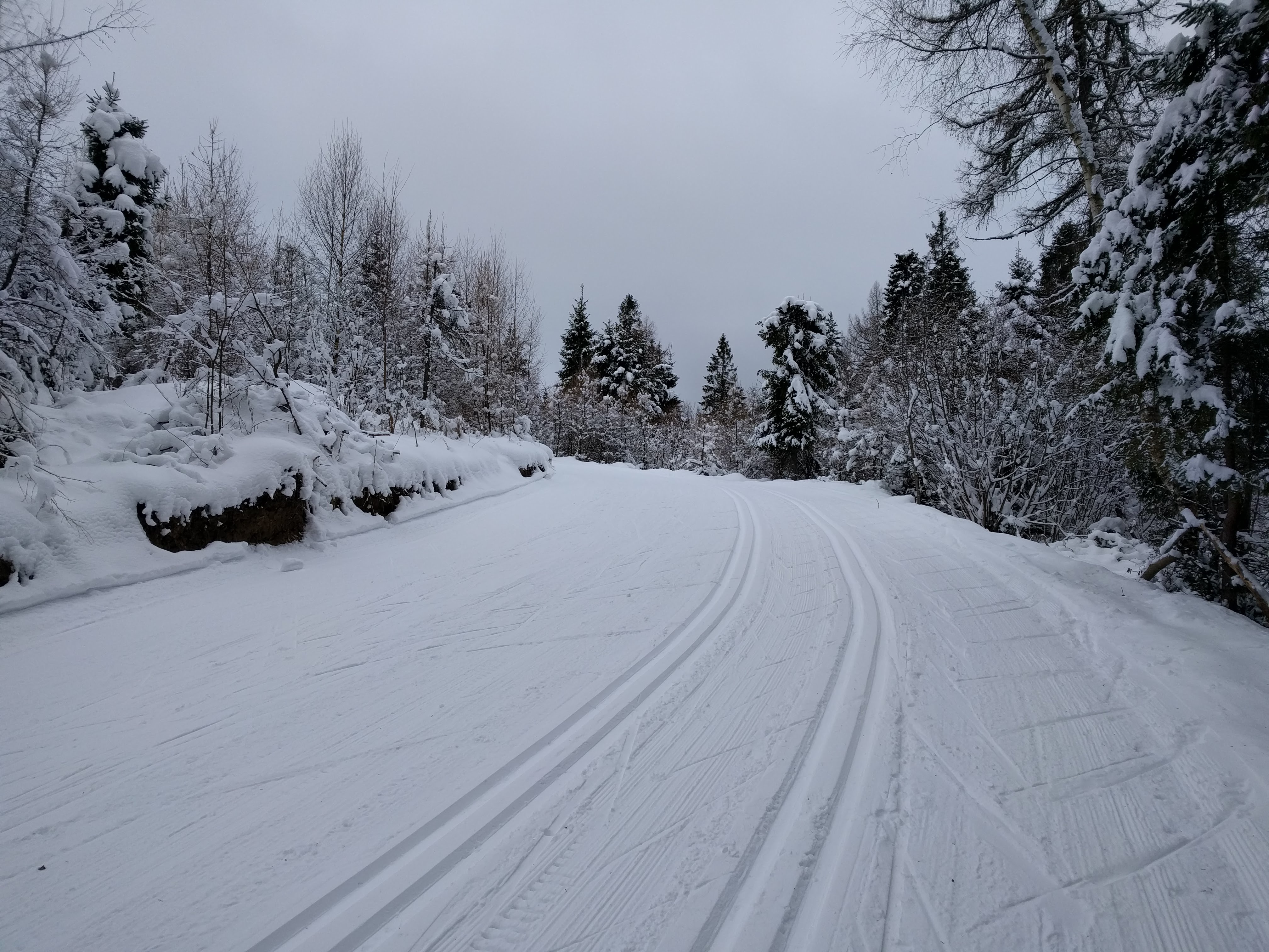 Areál bežeckého lyžovania - Levoča Nordic Centrum