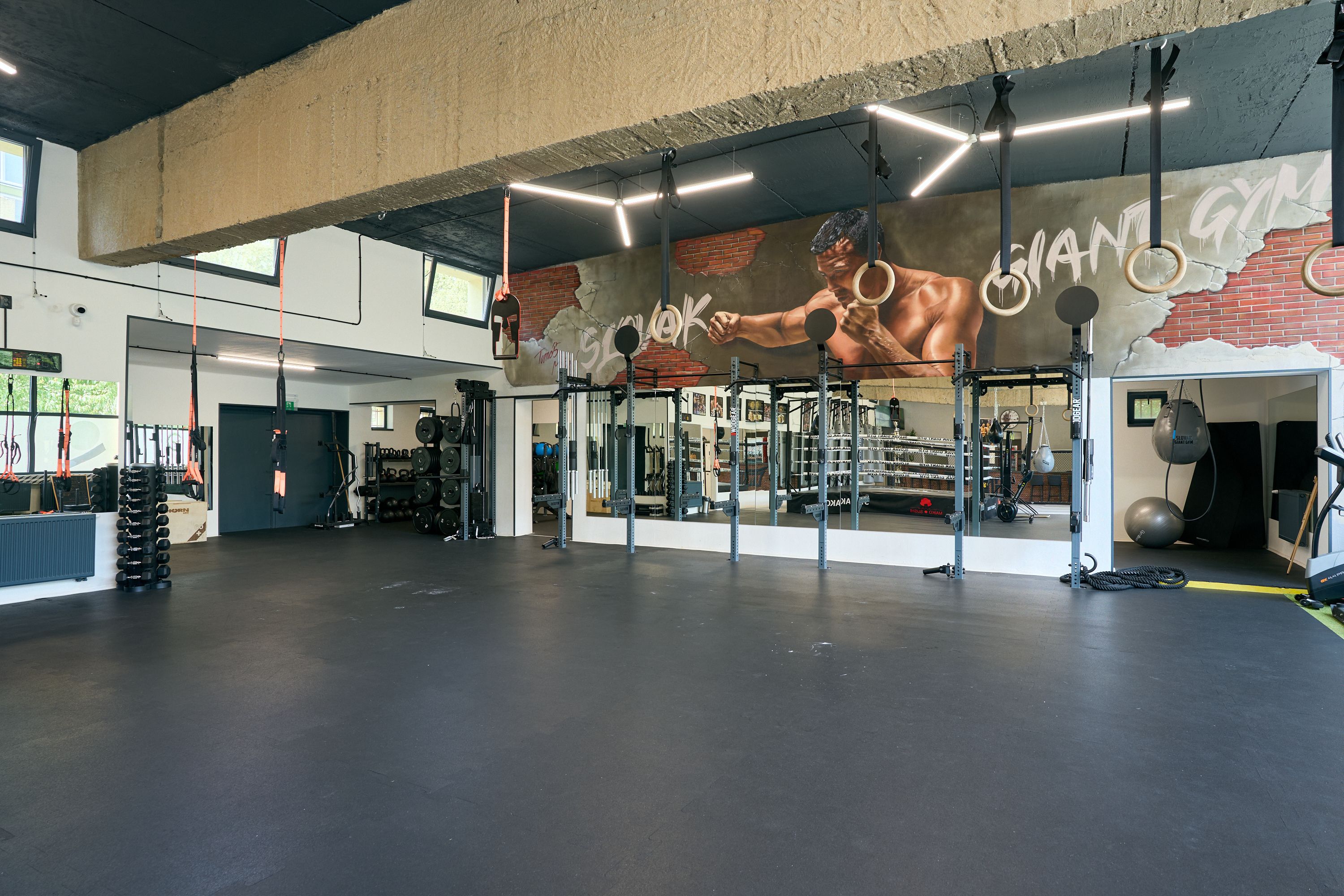 Slovak Giant Gym