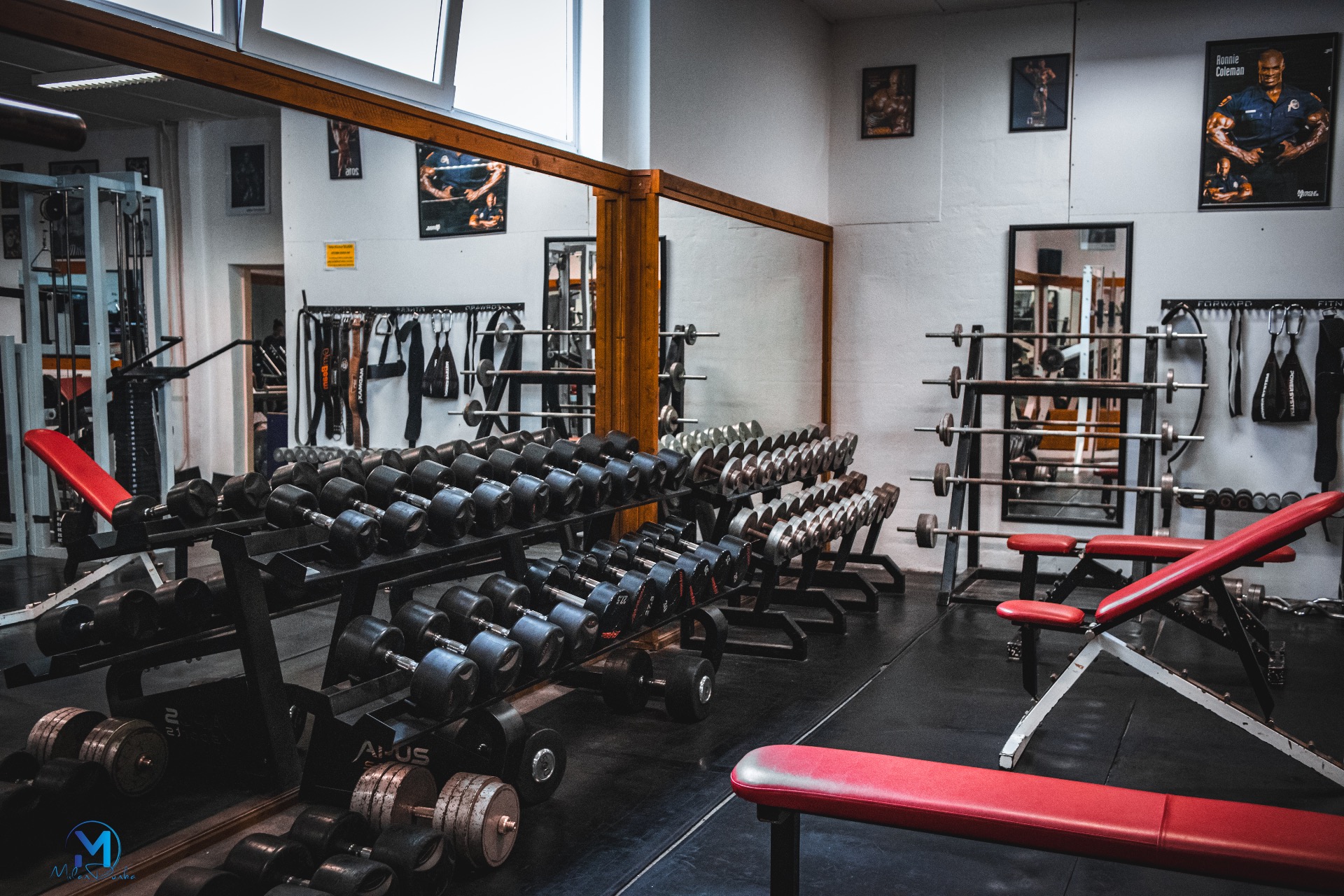 Fitnesscentrum YMCA Tlmače