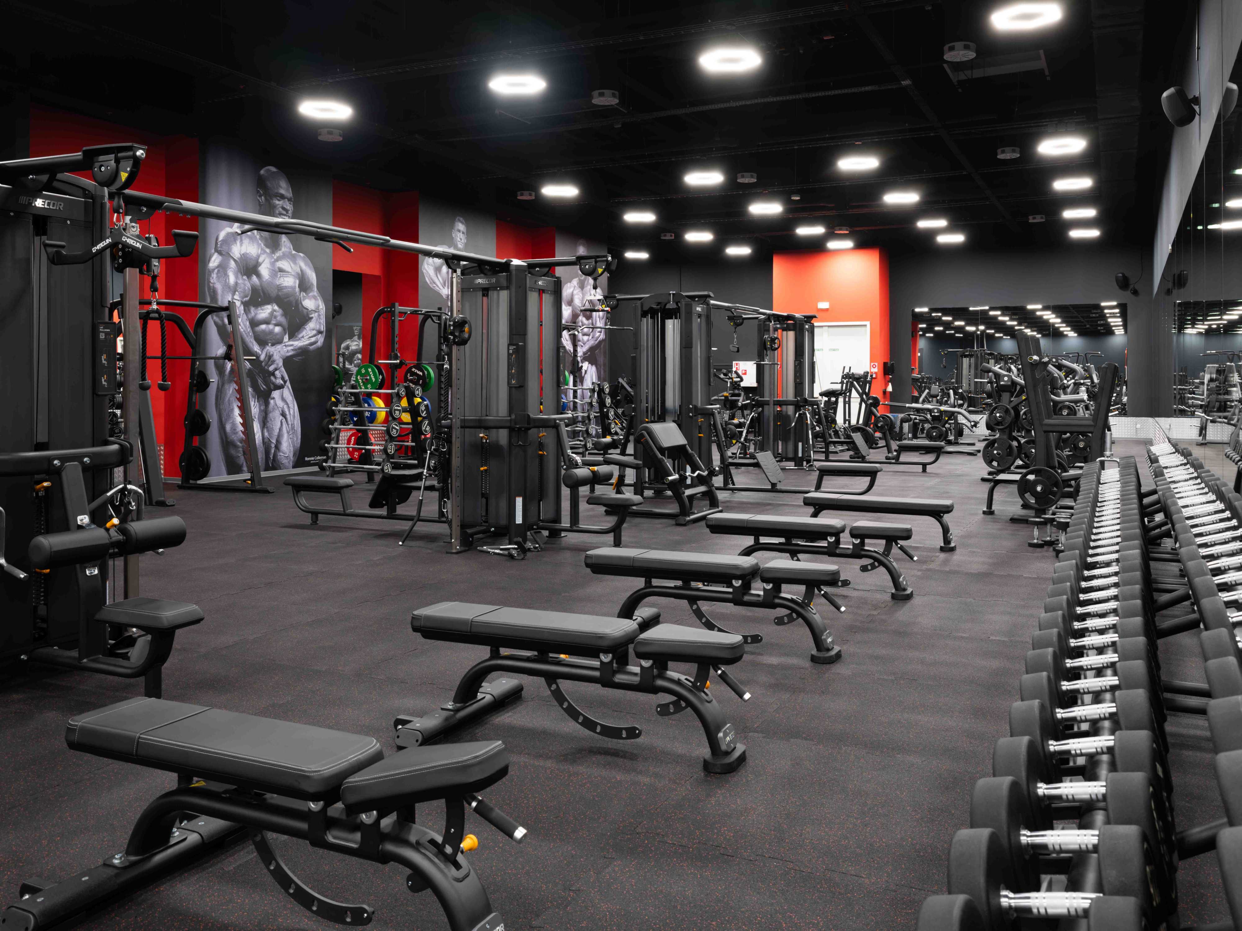 365 Fit&amp;Co OC Galéria Lamač