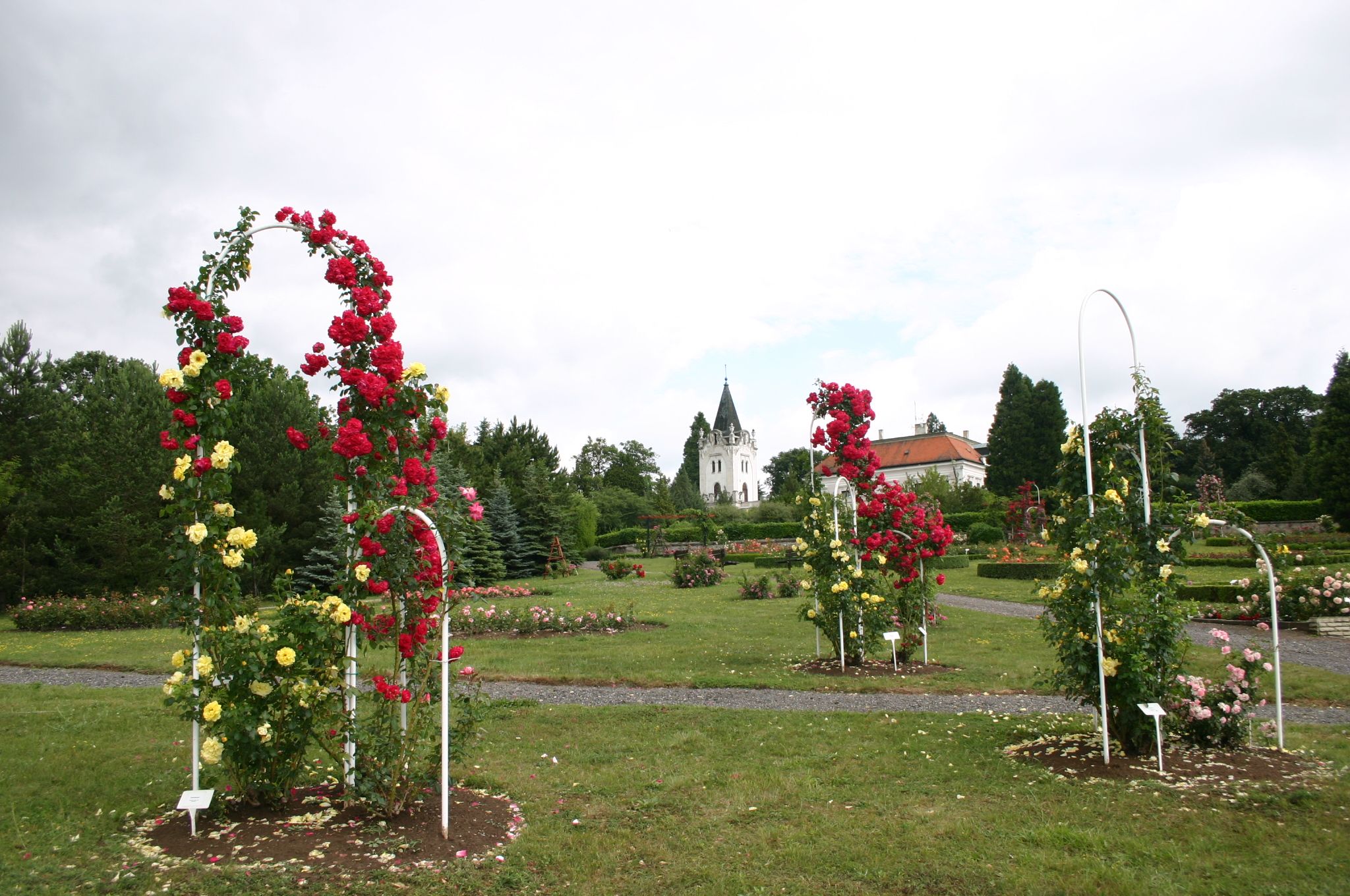 Arborétum Mlyňany