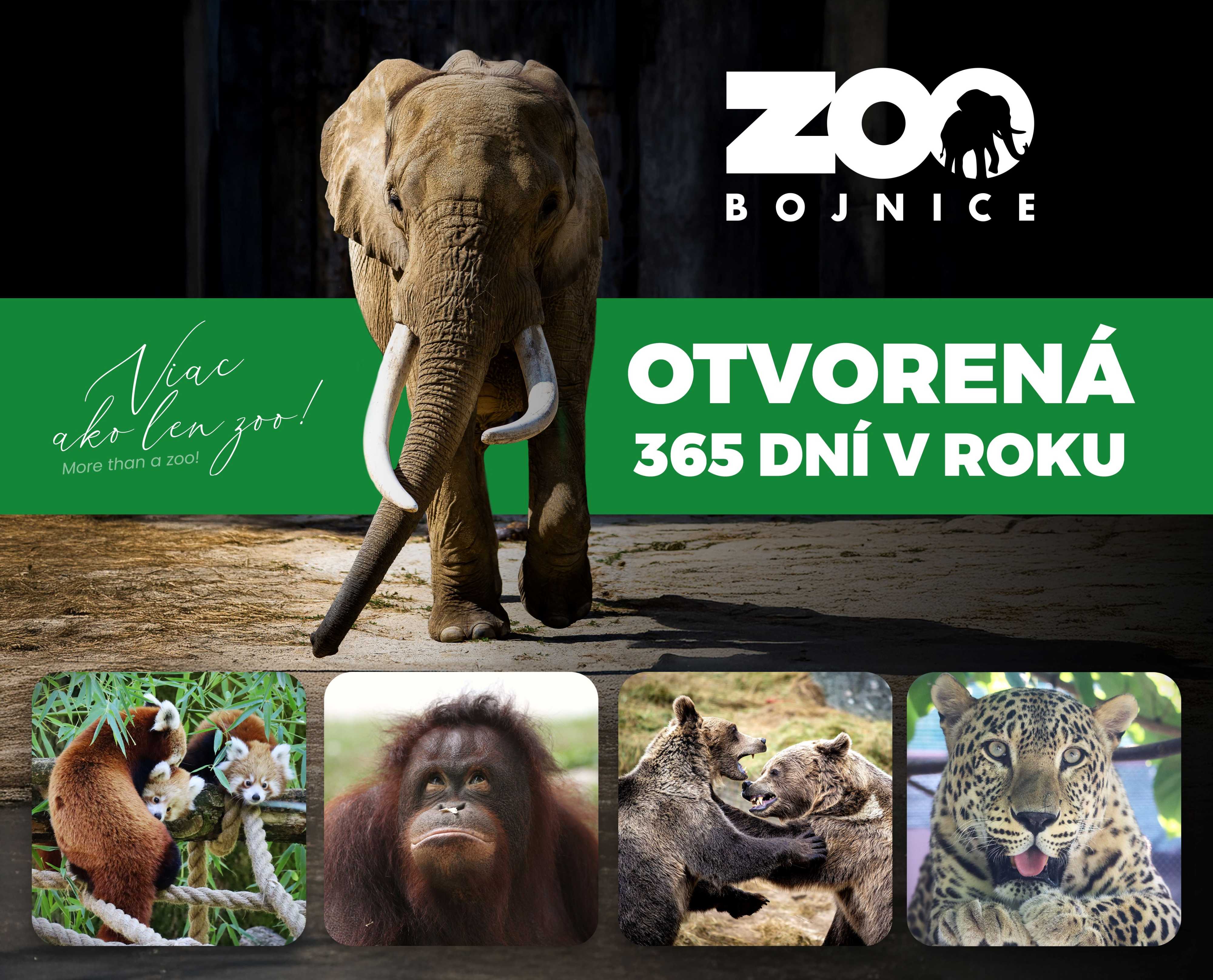 ZOO Bojnice