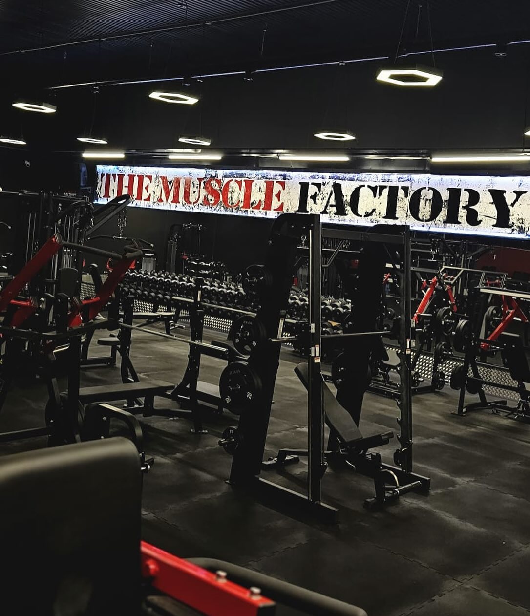 THE MUSCLE FACTORY FROM USA