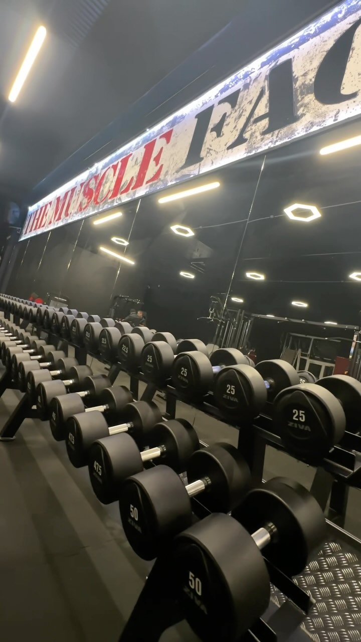 THE MUSCLE FACTORY FROM USA