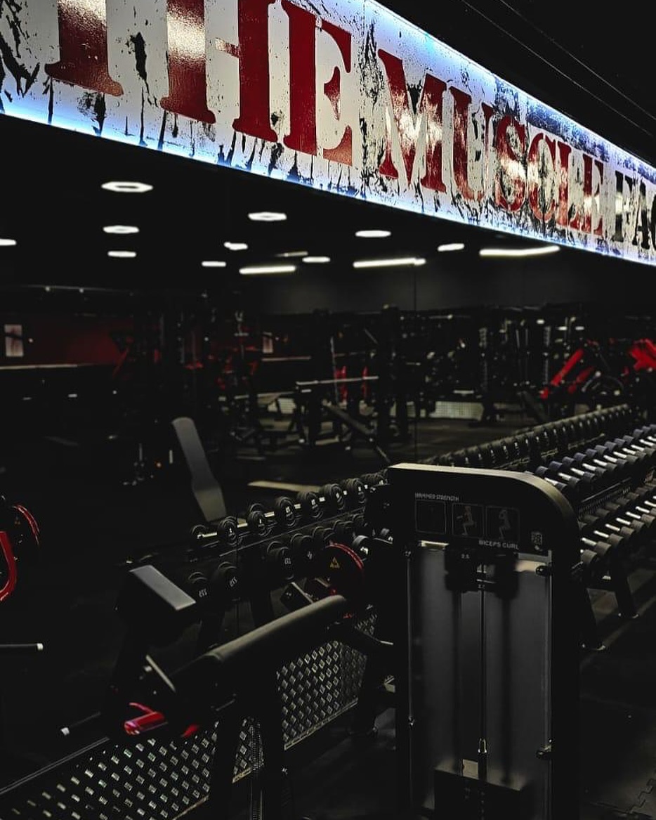 THE MUSCLE FACTORY FROM USA