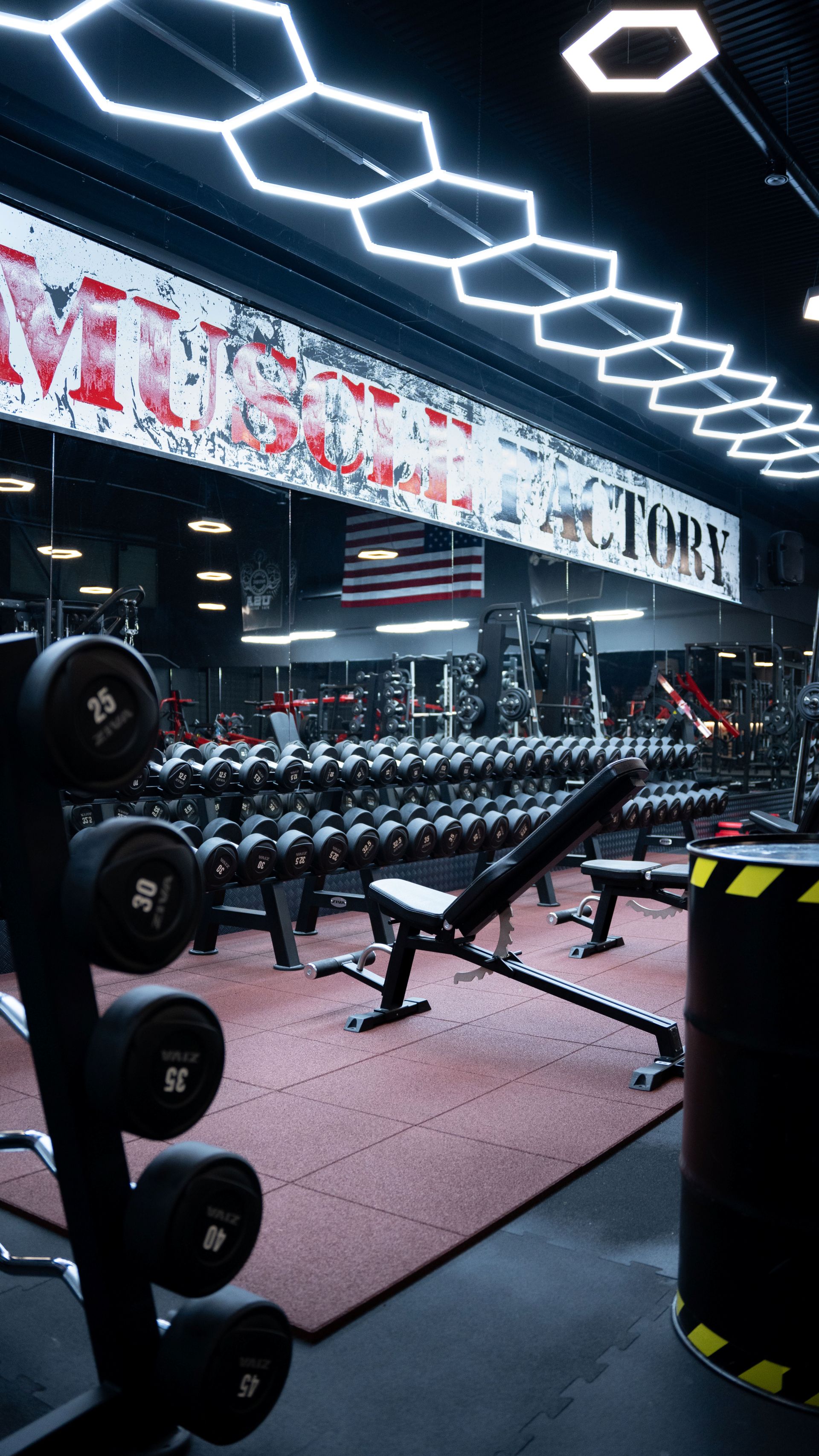 THE MUSCLE FACTORY FROM USA