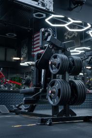 THE MUSCLE FACTORY FROM USA