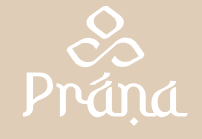 Prana yoga studio