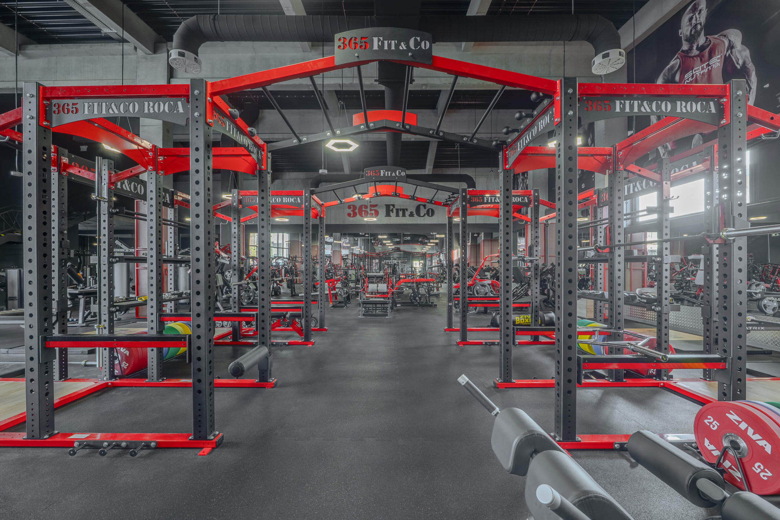 365 Fit&Co Roca