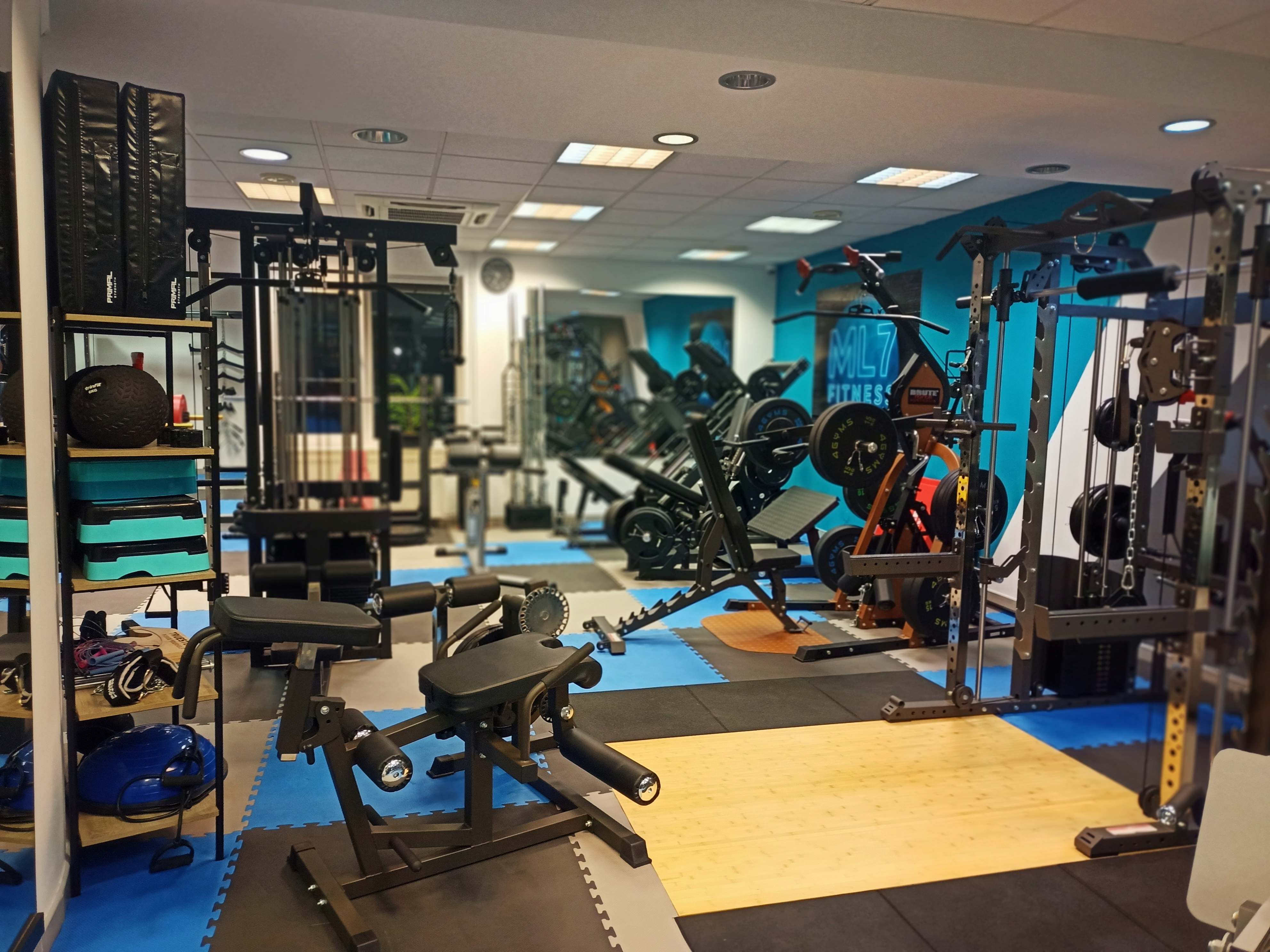 ML7 fitness