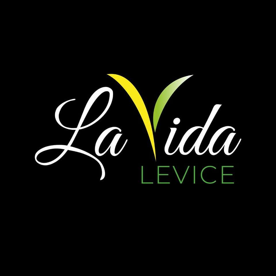 LaVida Levice – tanečné a pohybové štúdio
