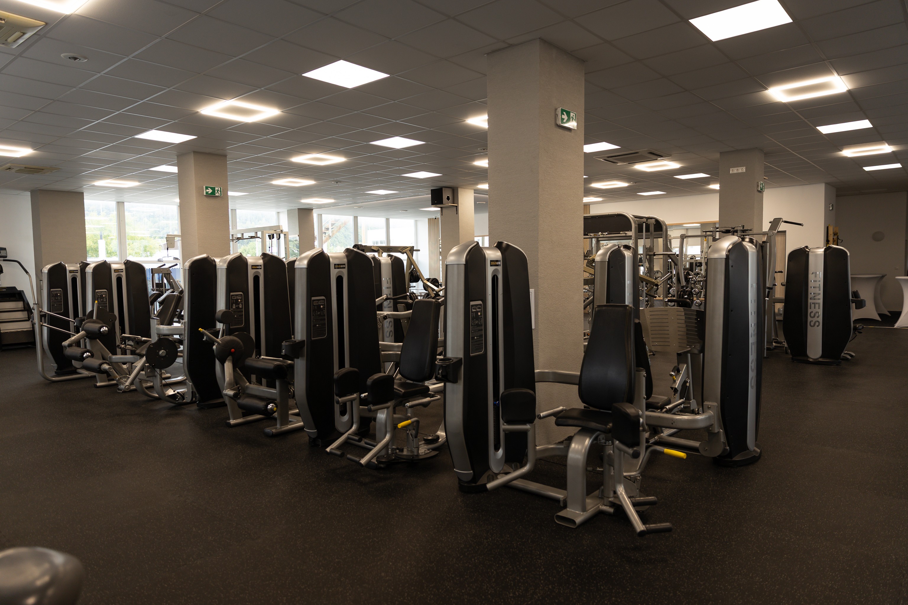 Zeus Gym