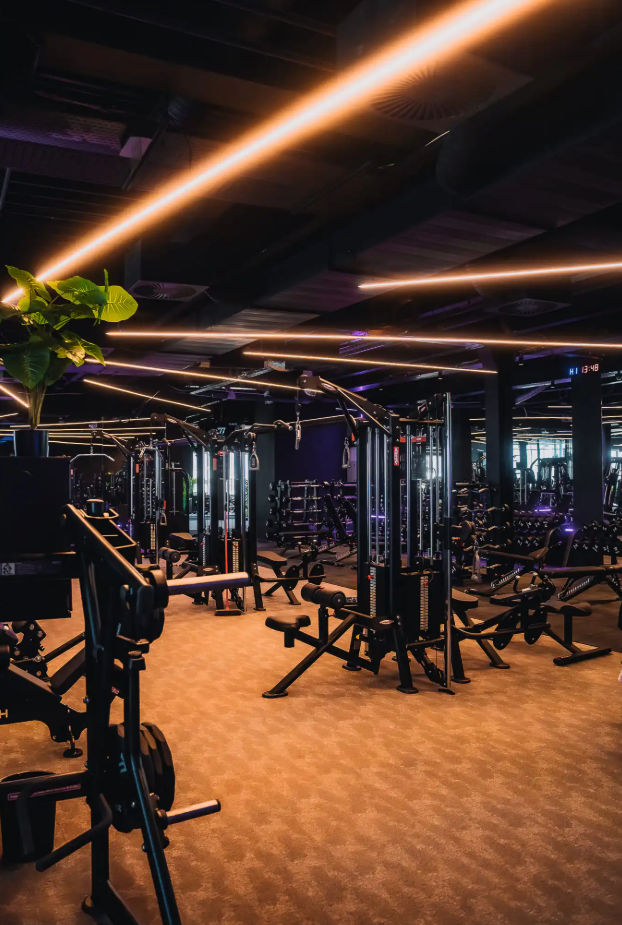 77 NEXT LEVEL FITNESS - ePORT