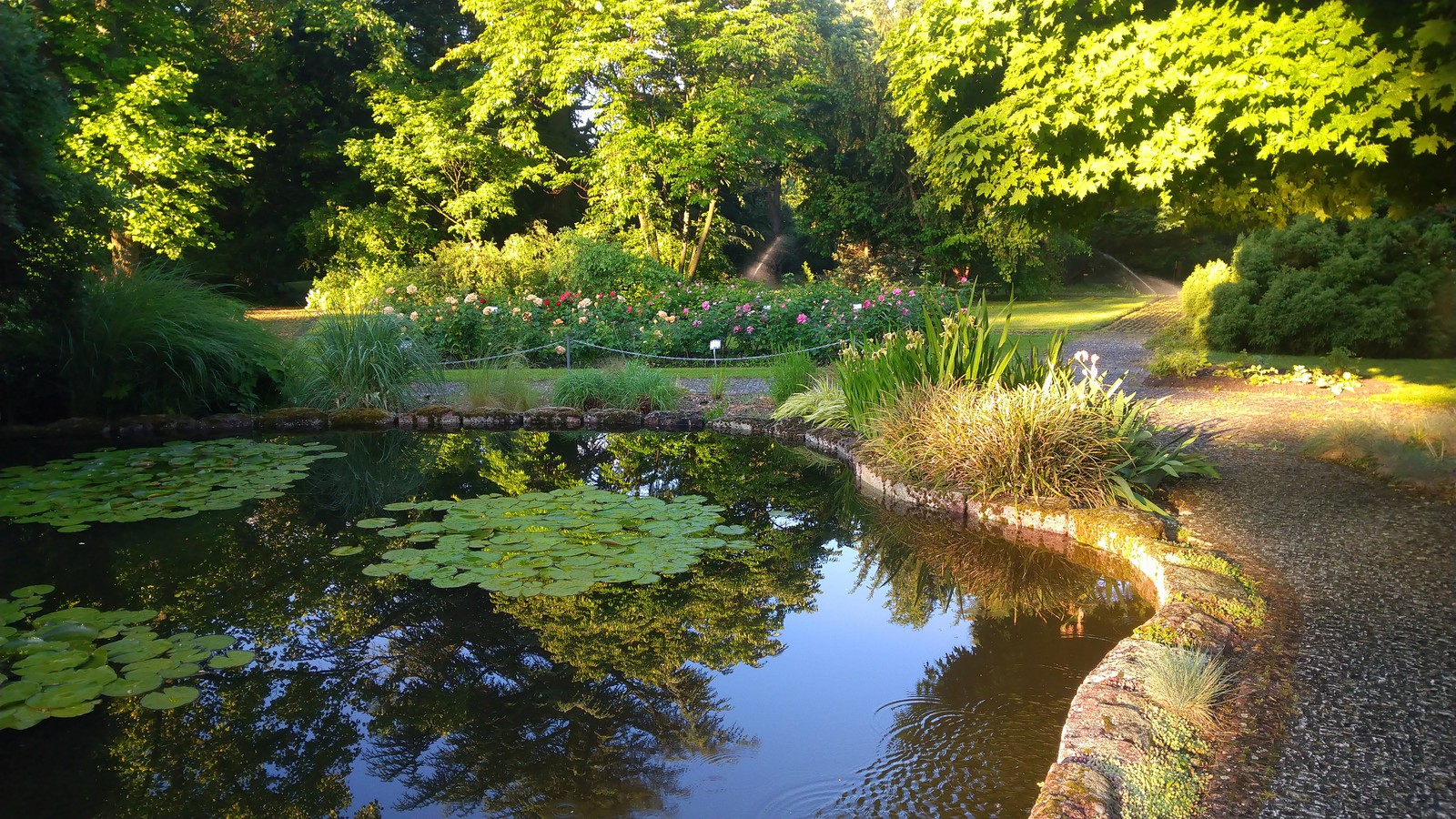 Botanická záhrada UK