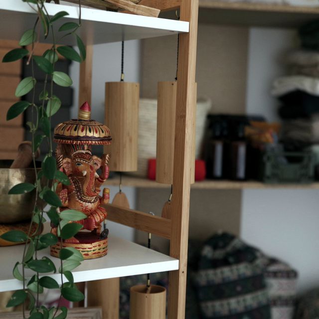 Ayurvédska jógovňa Antares