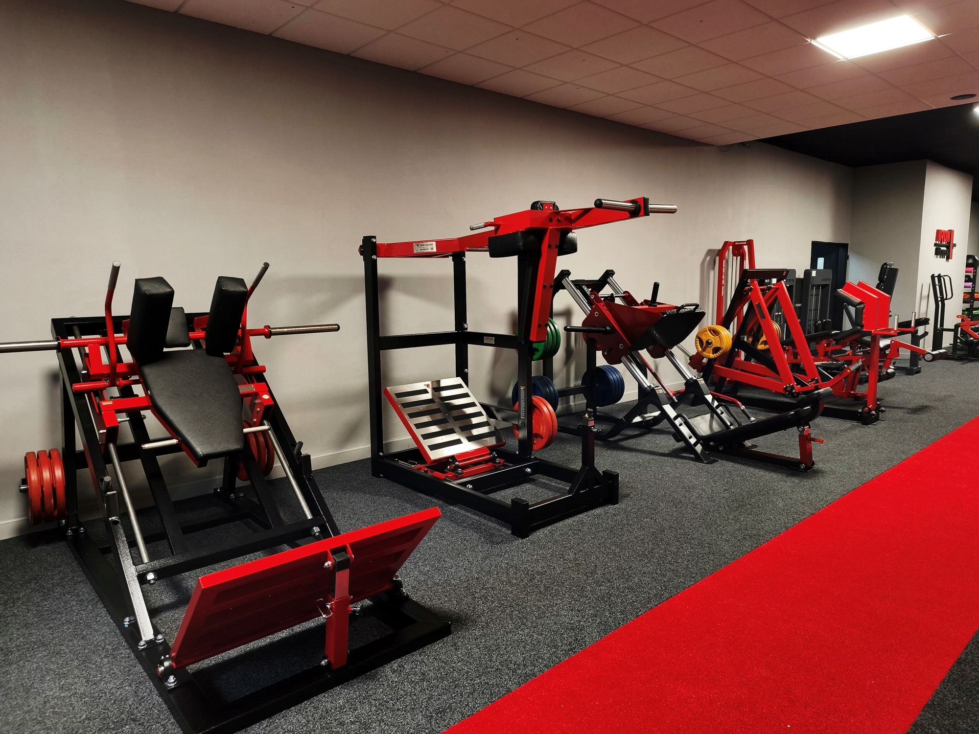 IRON FITNESS VYSOKÁ