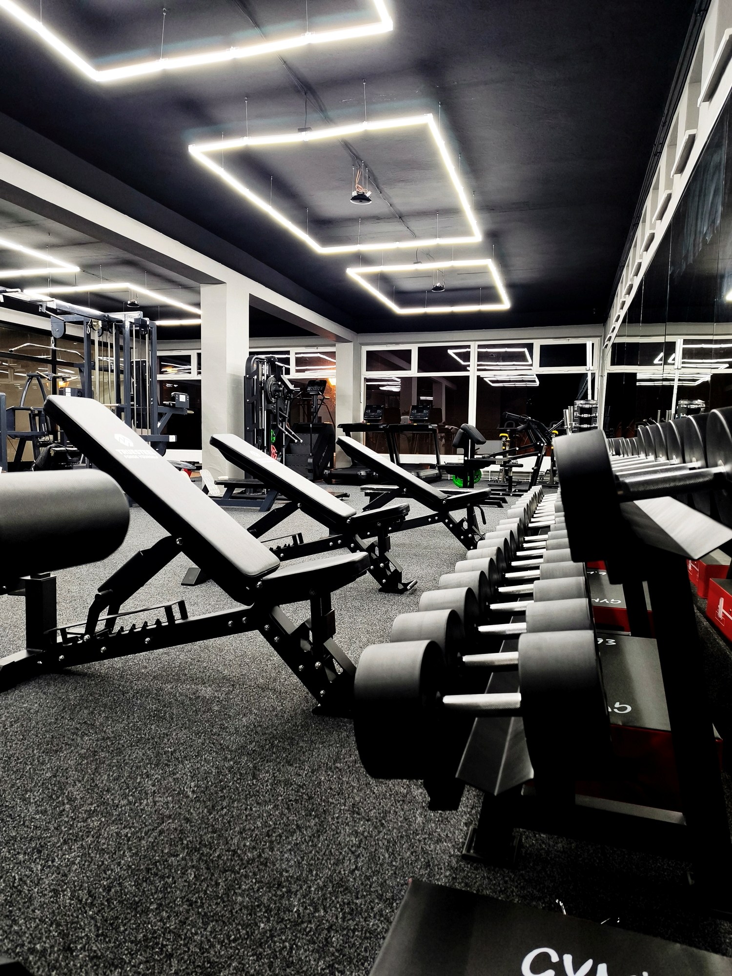 IRON FITNESS VYSOKÁ