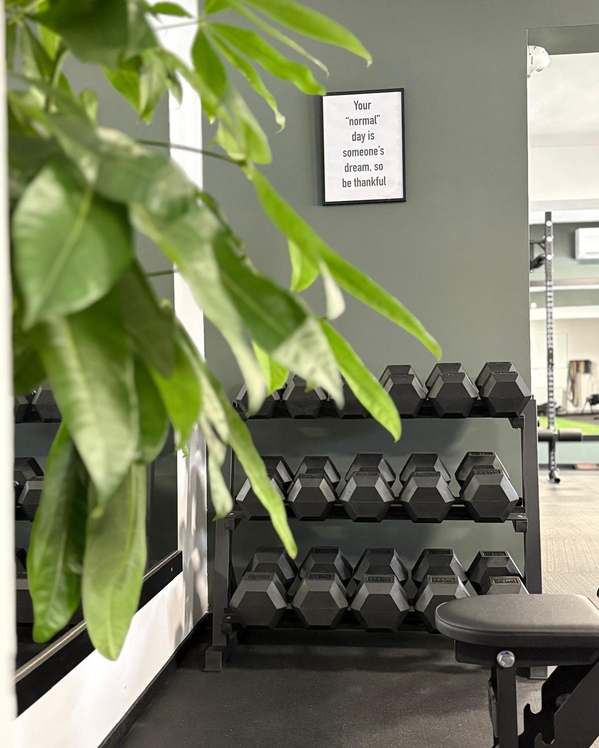 FORMA - Fitness &amp; Gym