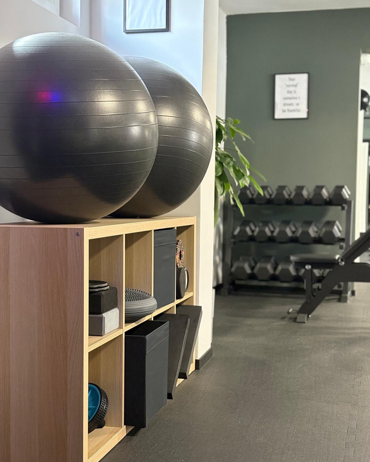 FORMA - Fitness &amp; Gym