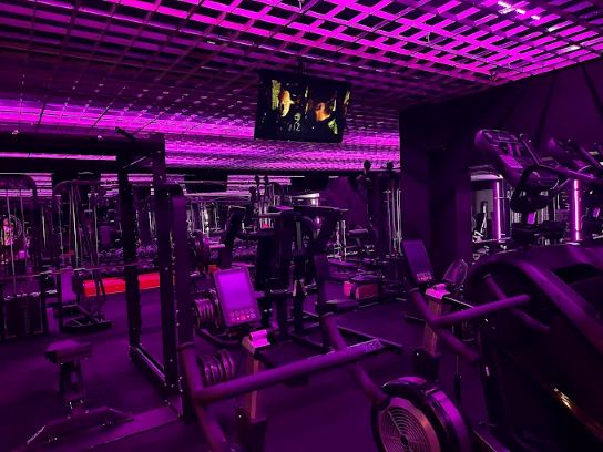 Stallion premium fitness Čadca