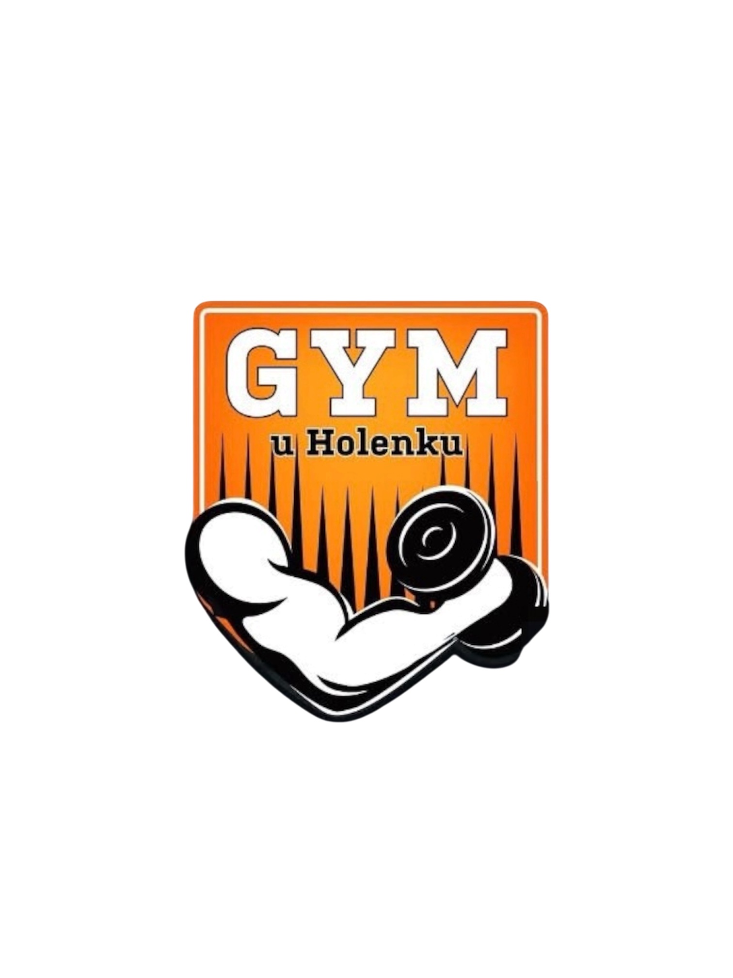Gym u Holenku