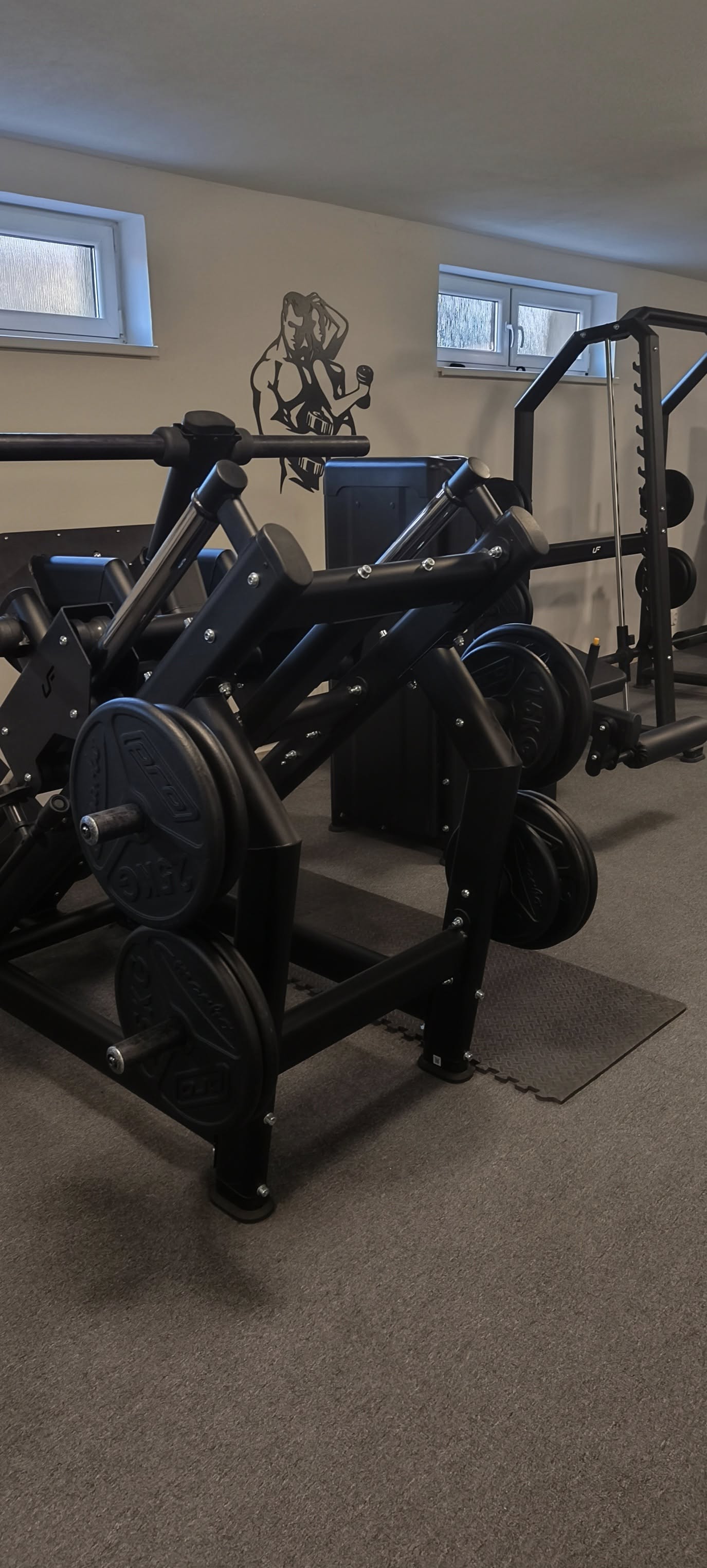 Gym u&nbsp;Holenku