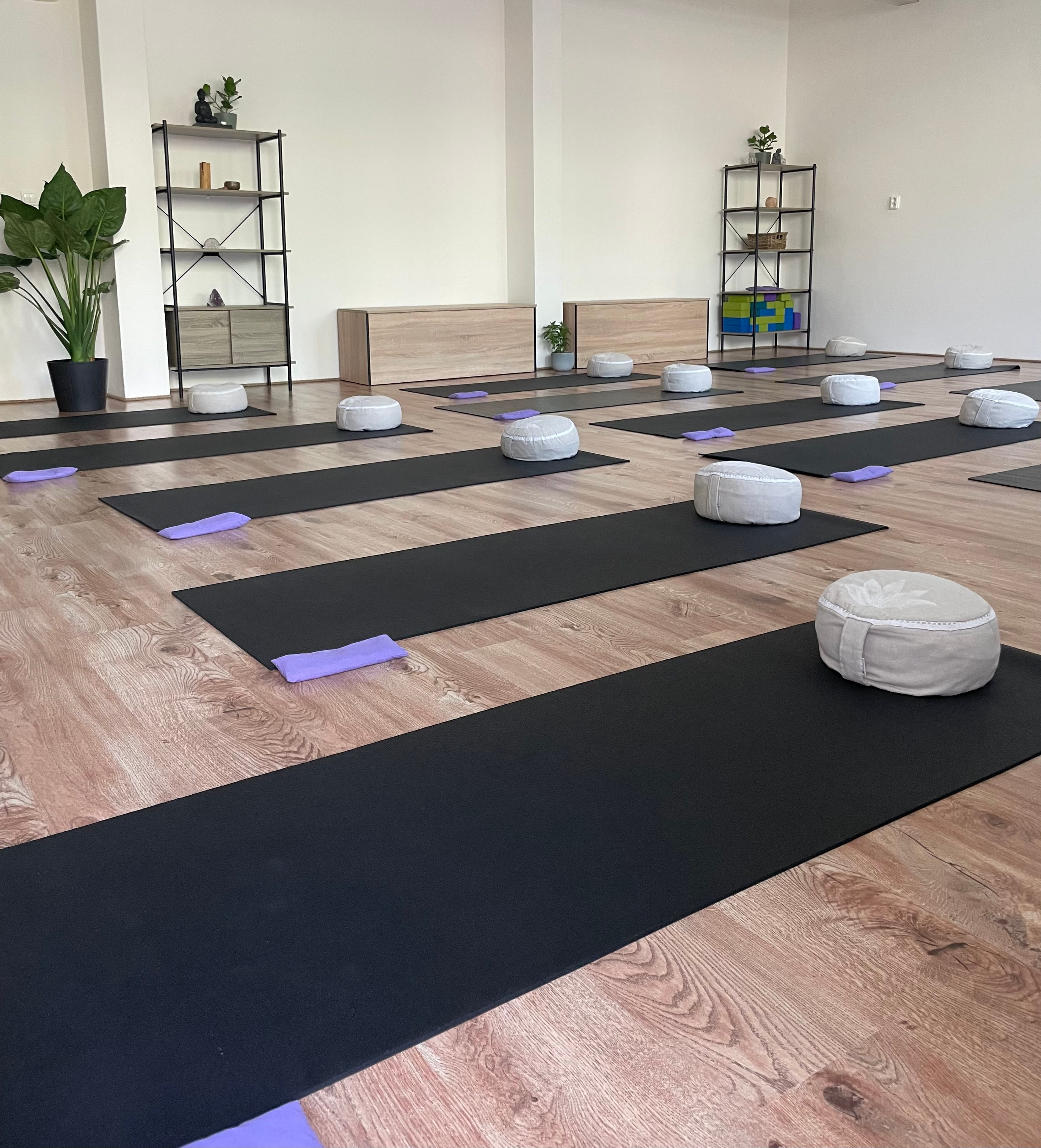 Luna studio