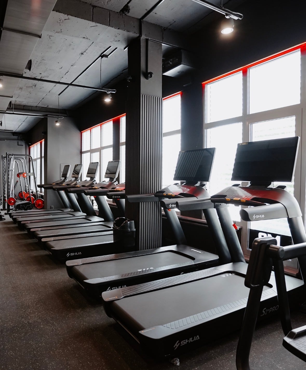 M2 fitness