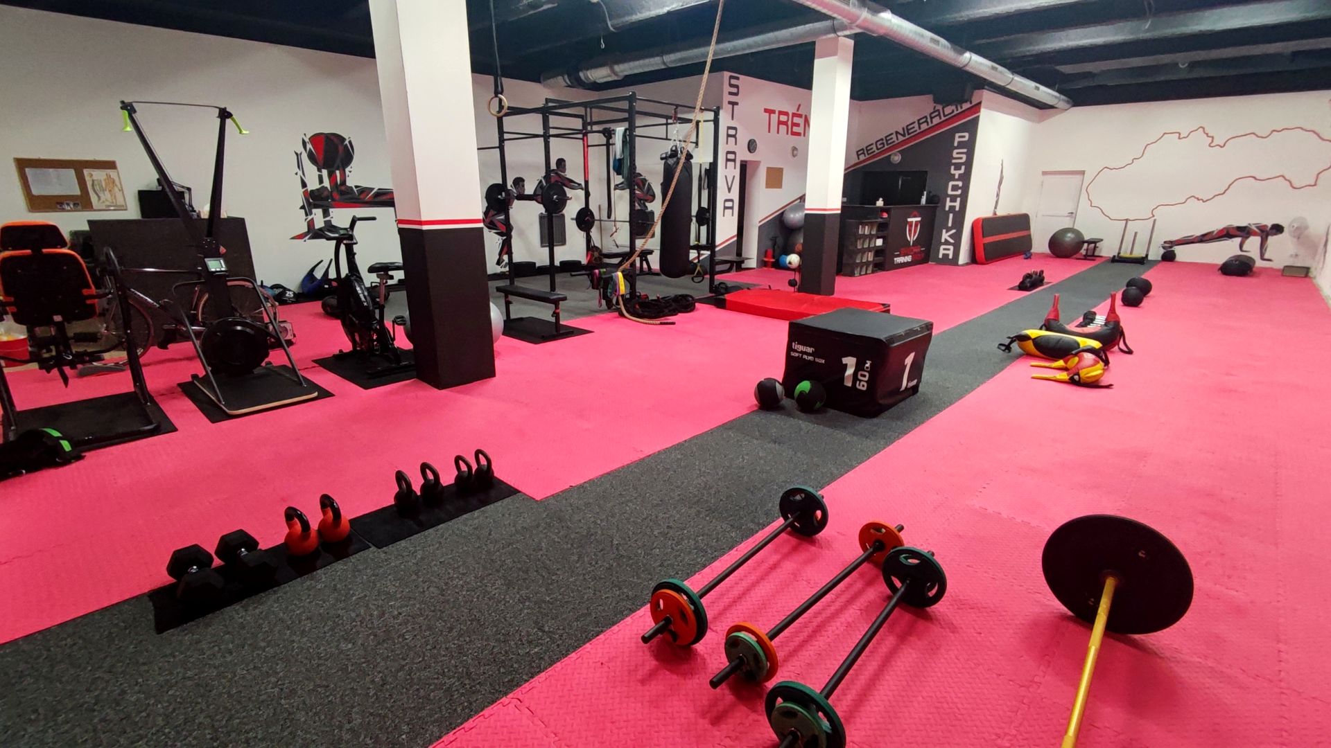 SYKORA TRAINING GROUP