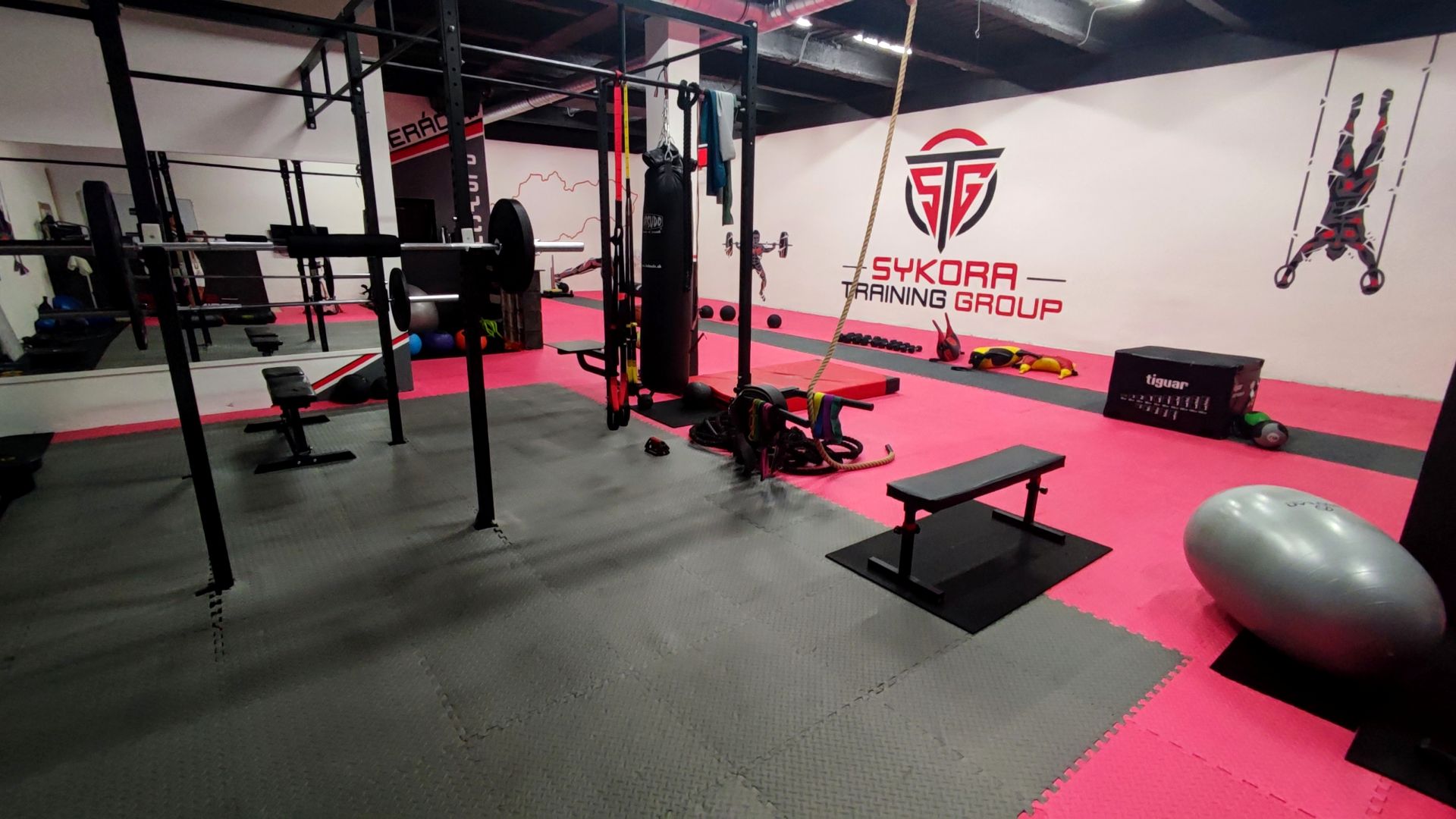 SYKORA TRAINING GROUP
