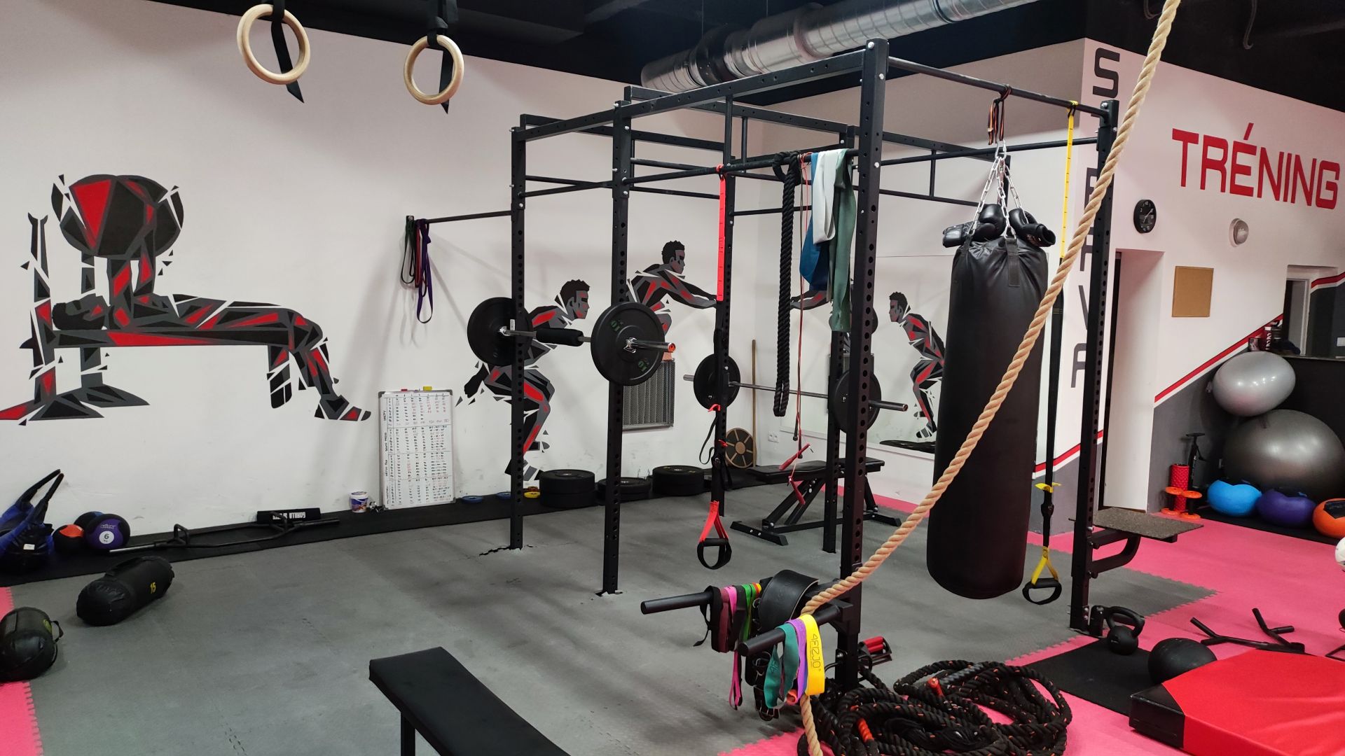 SYKORA TRAINING GROUP